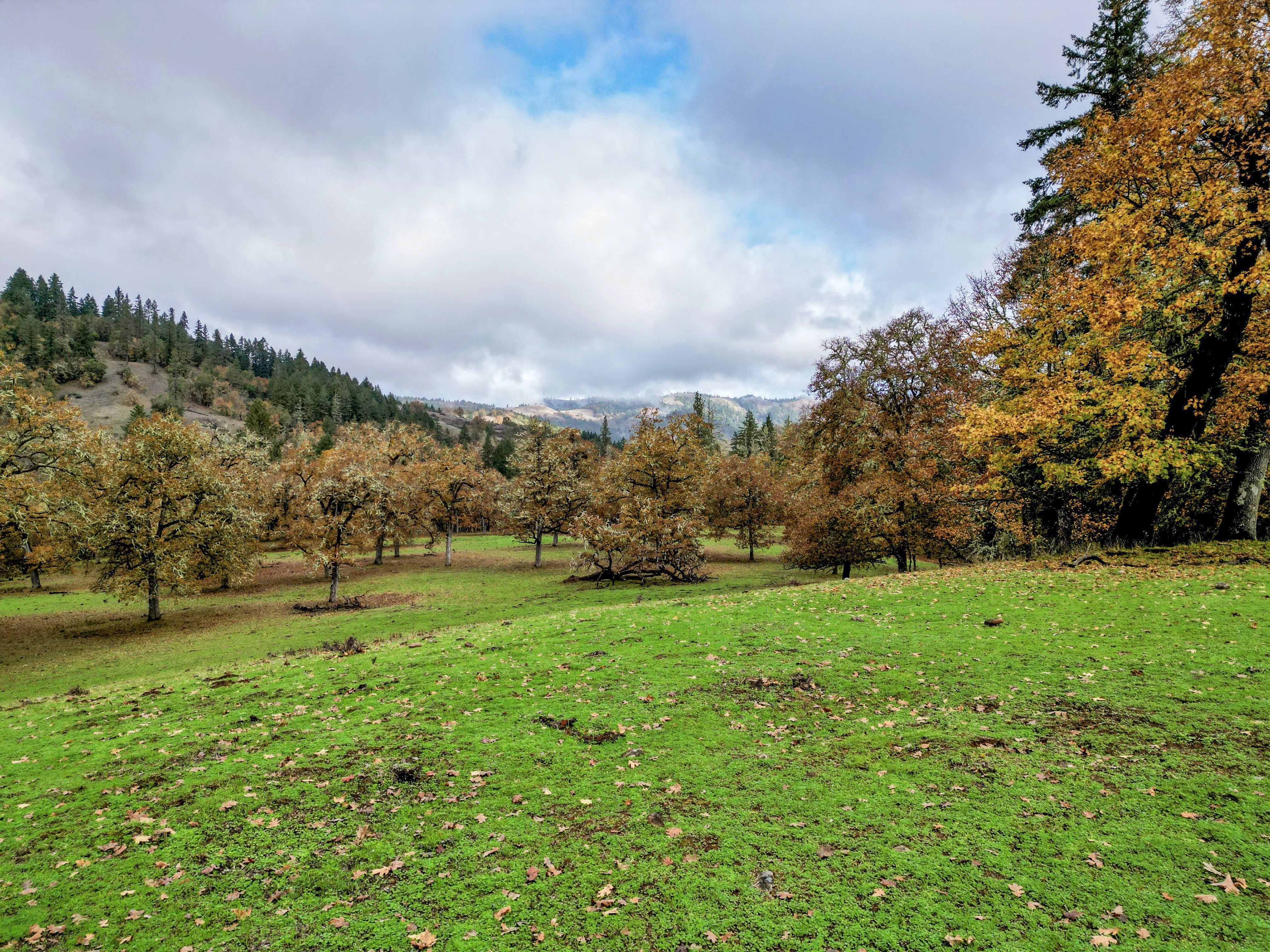 Carlin Ranch - Historical Listing