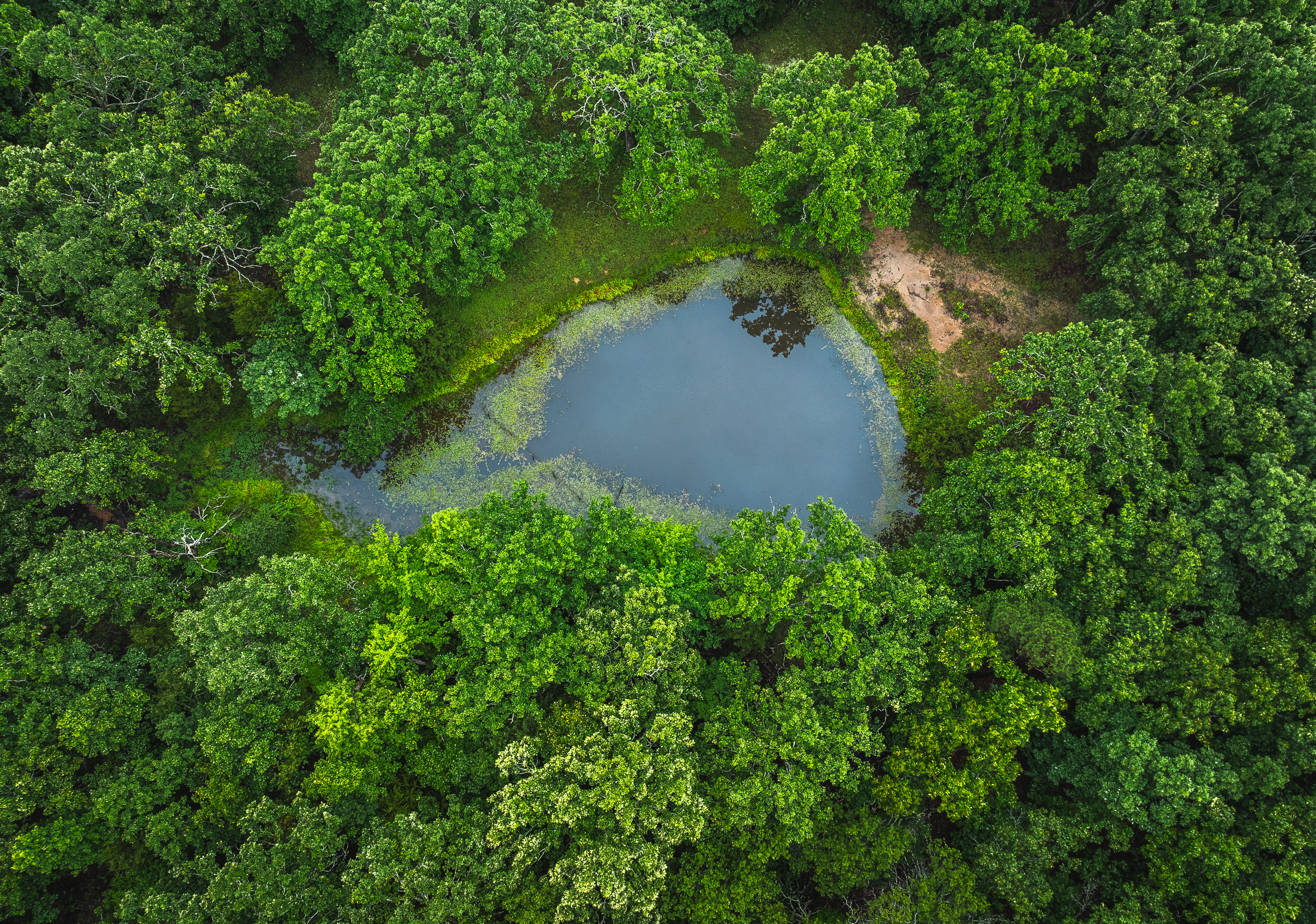 T-Cross Farm Tract 3