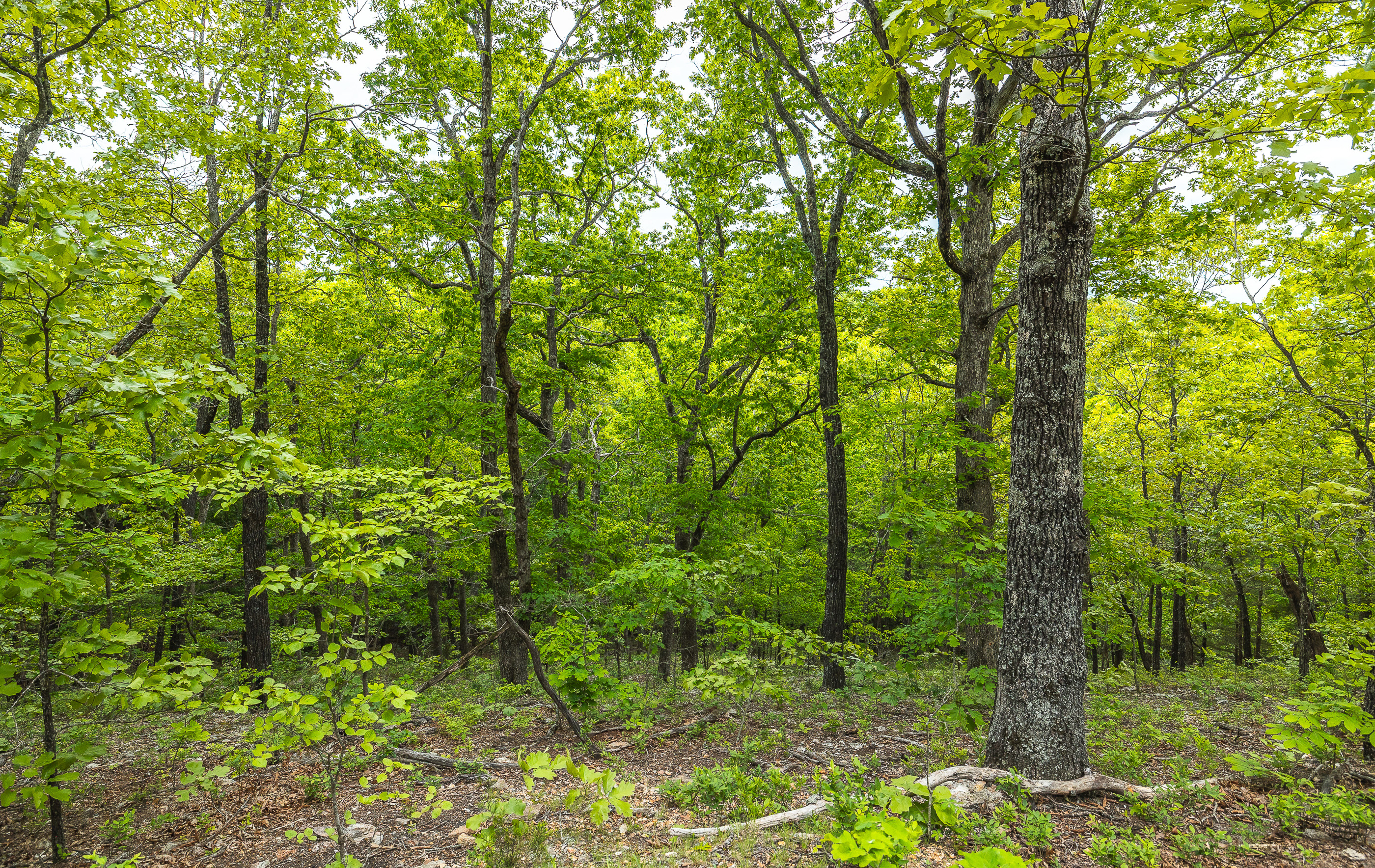 Waters Edge on the Gasconade River Tract 1