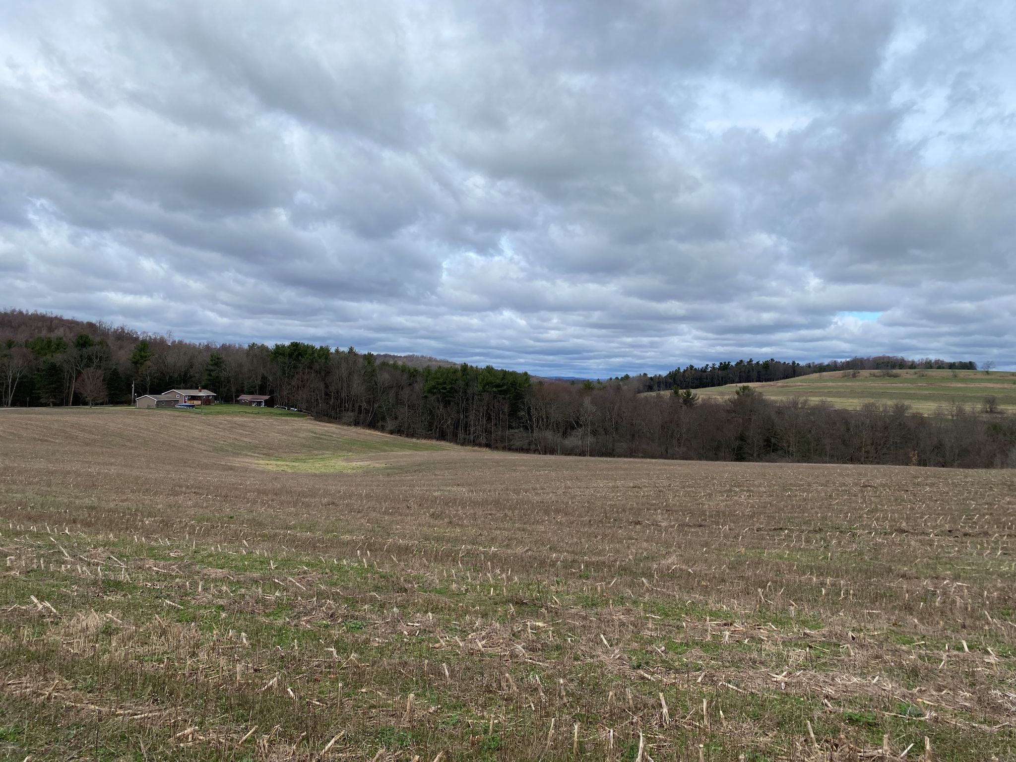 Mark's Meadow