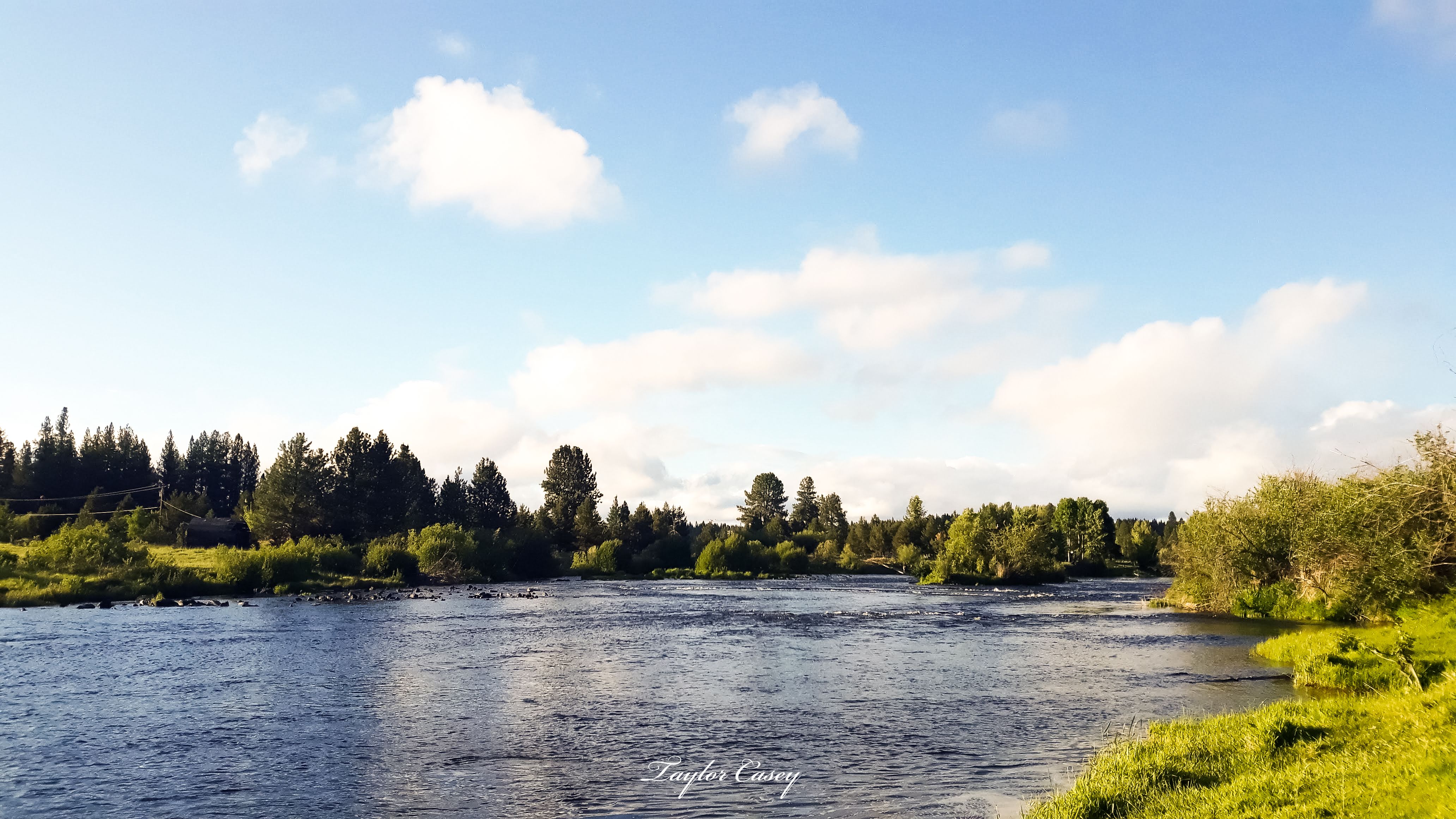 KIRCHER'S WHERE THE COLD-WATER RIVERS MEET THE MOUNTAINS Williamson/Sprague Rivers