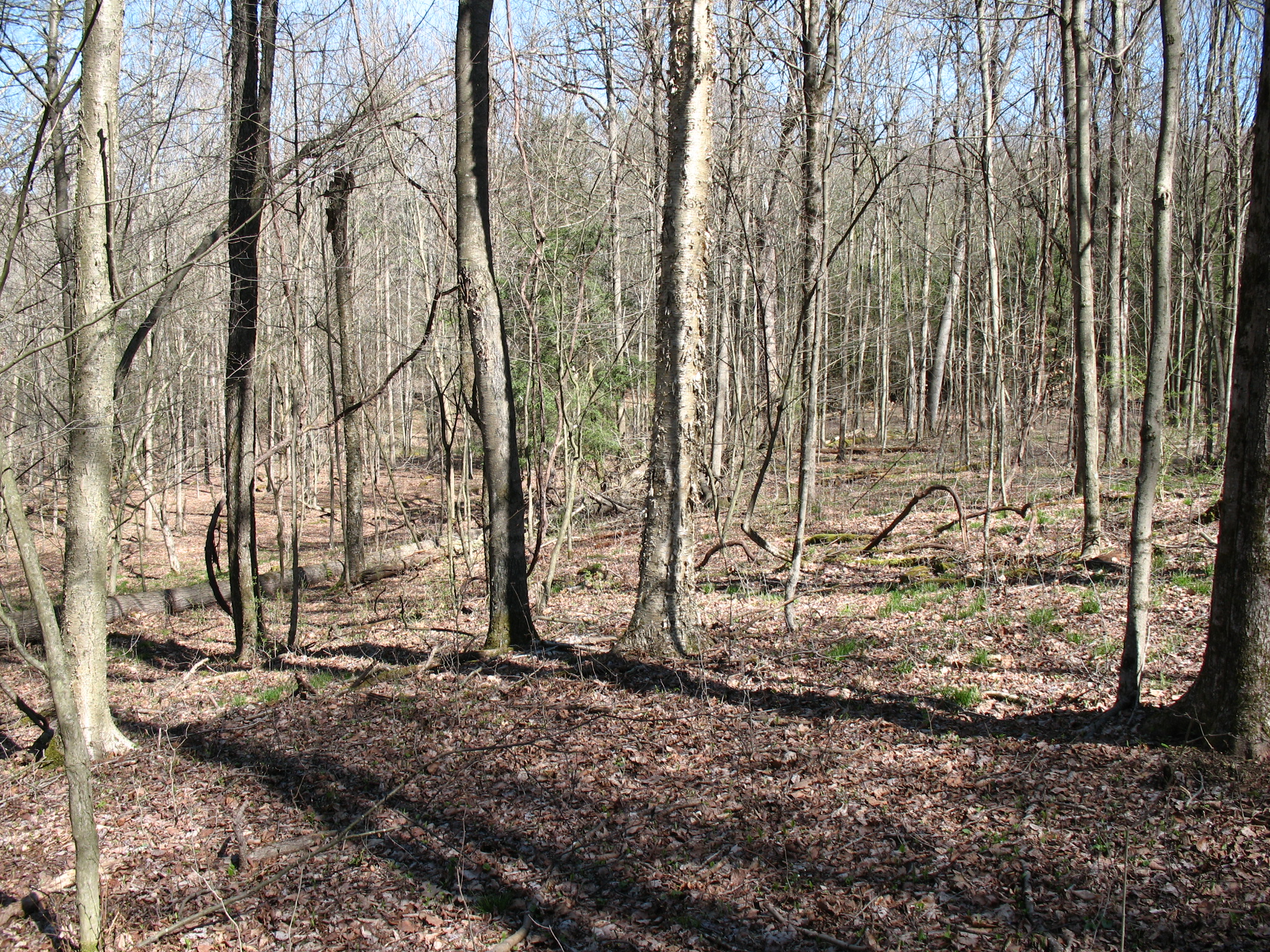 Listing Image 14