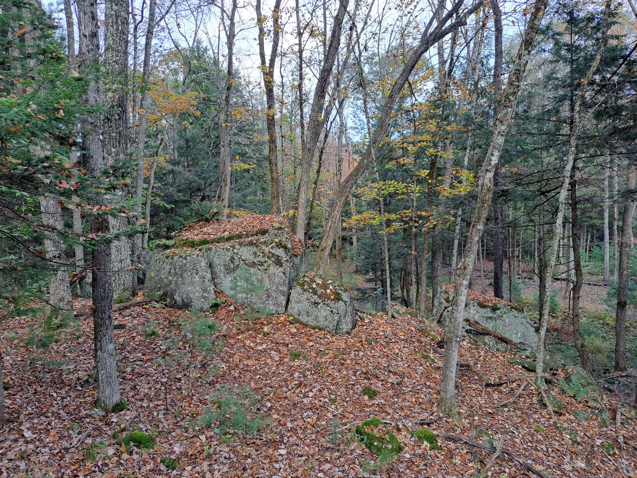 Hudson River Woods & Water