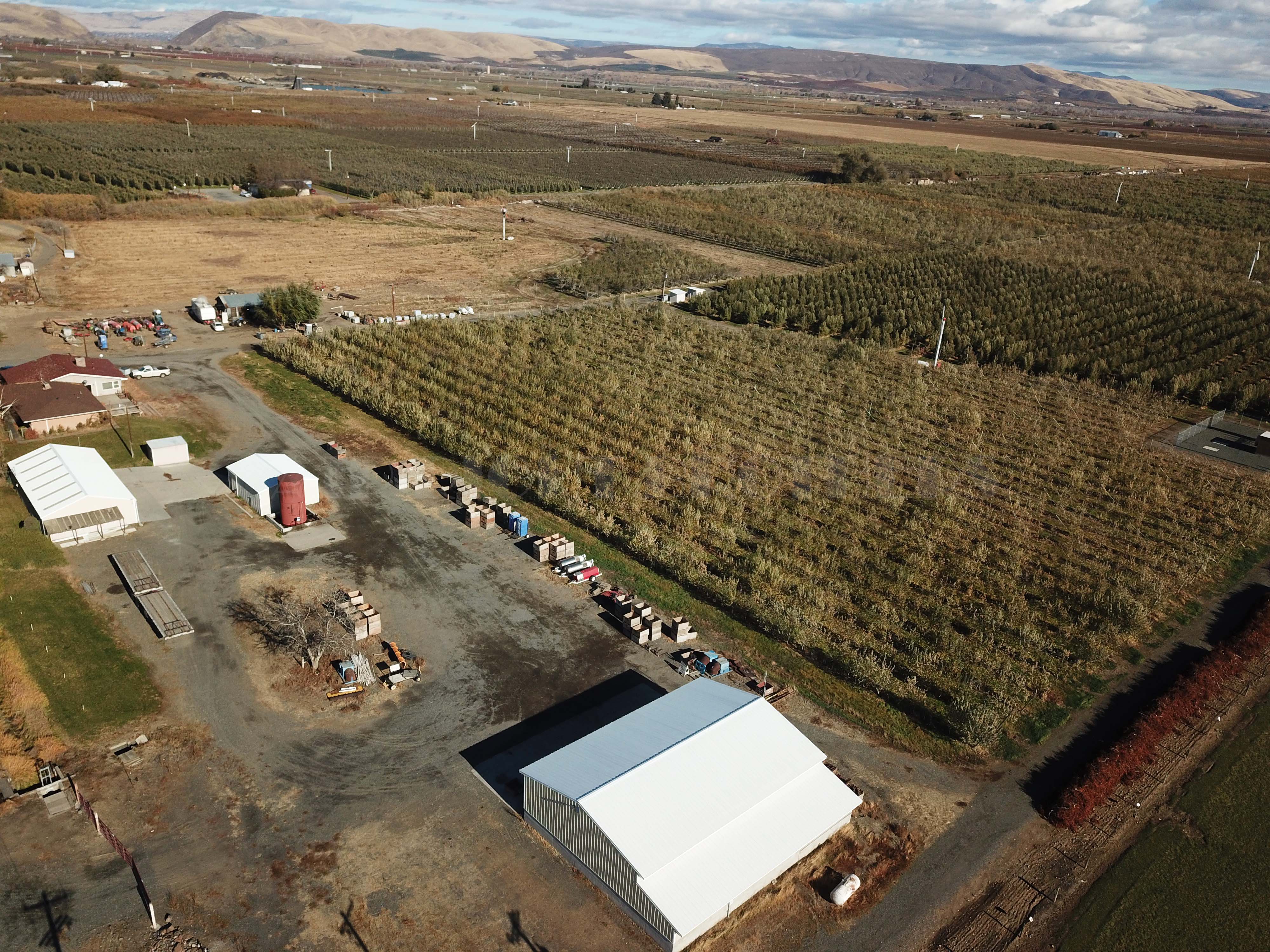 Apple Orchard w Equipment, House and Shops!