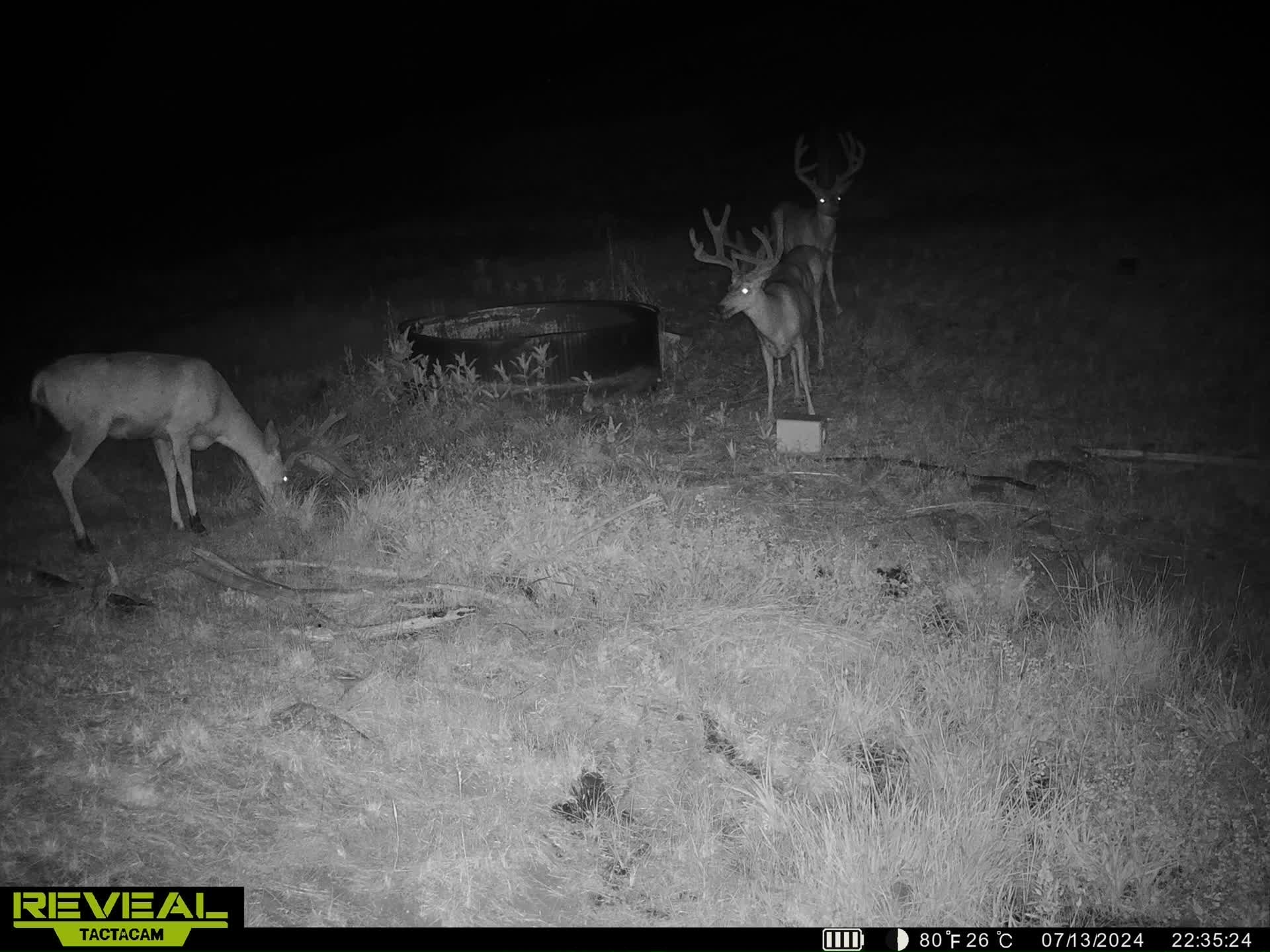 Listing Image 5