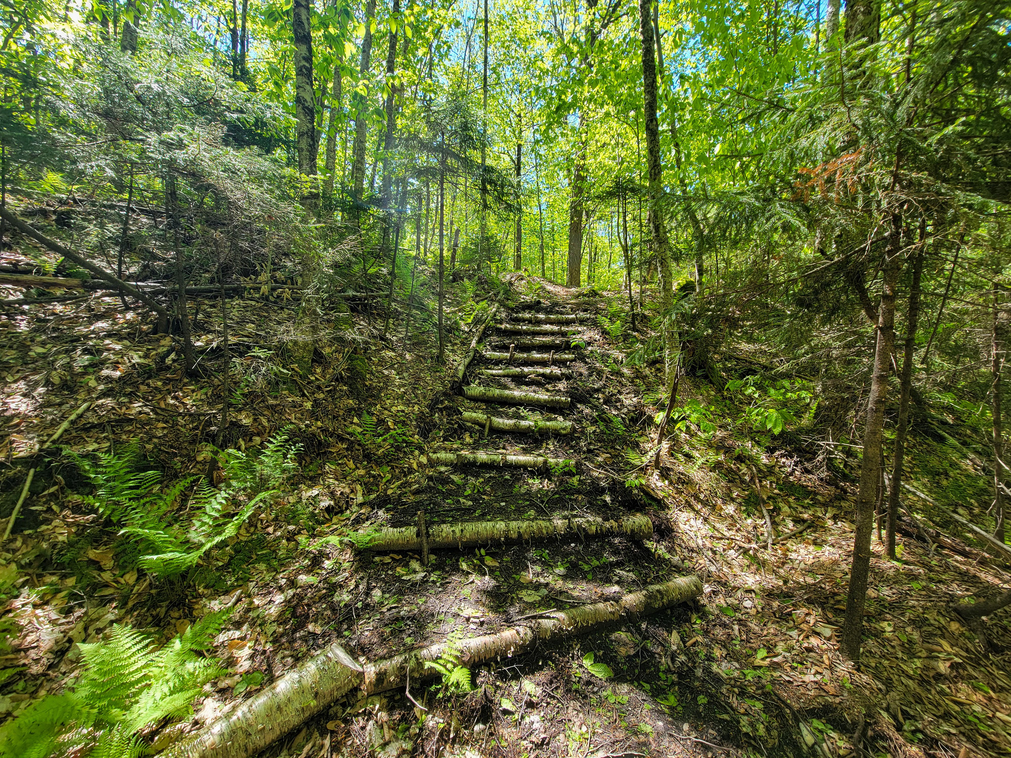 925 Hathaway Rd - Goshen