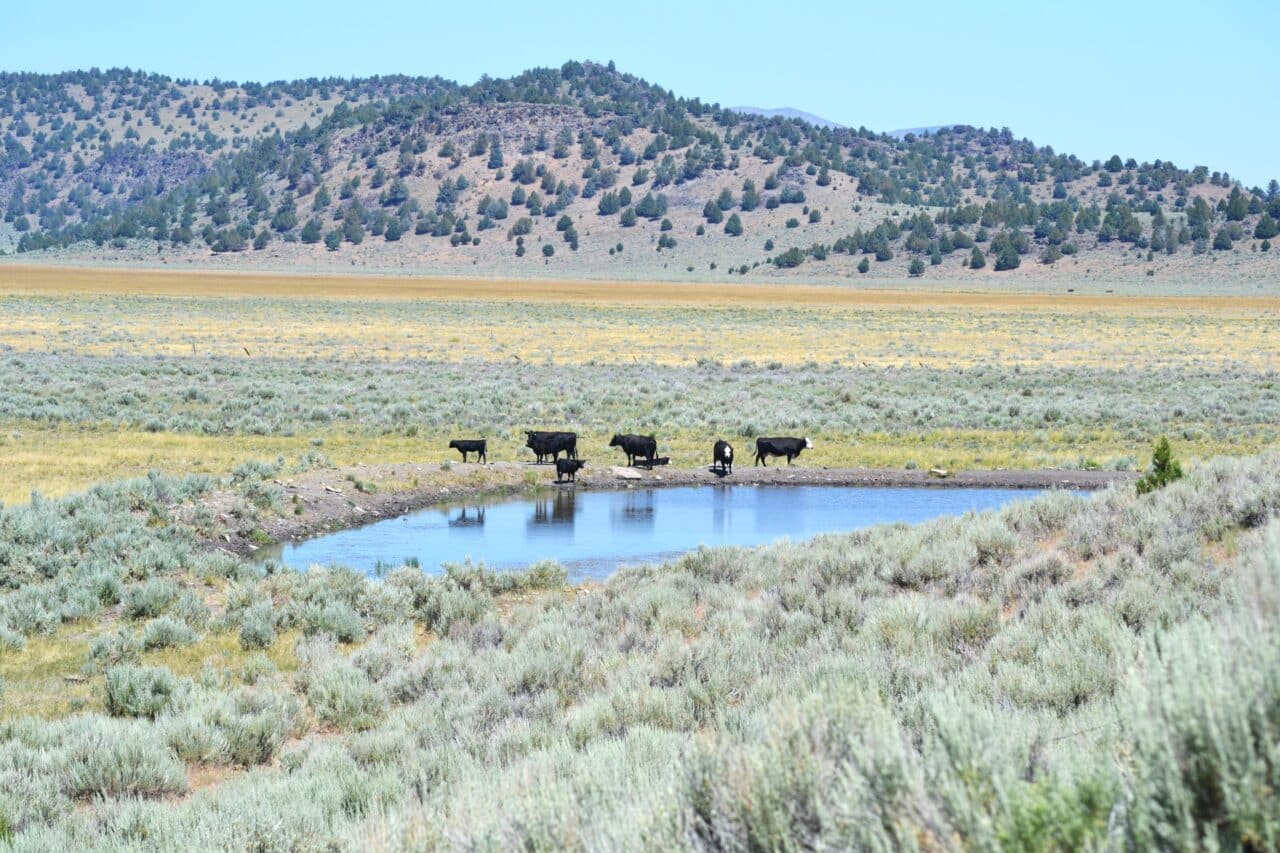 Valley View Ranch