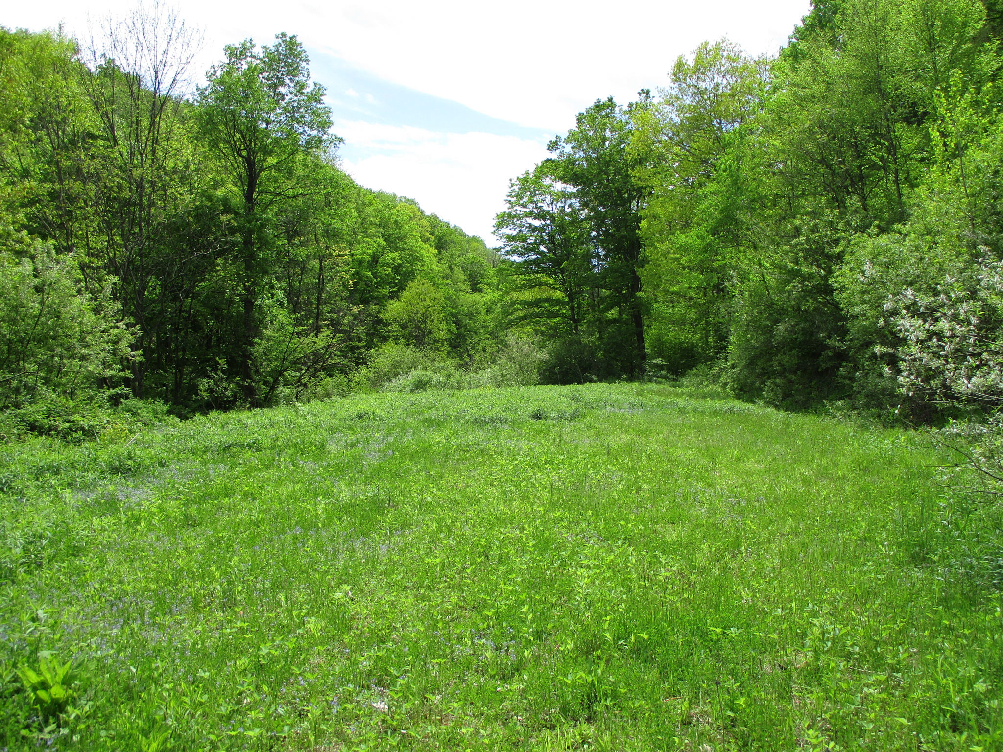 Legacy Land and Cabin