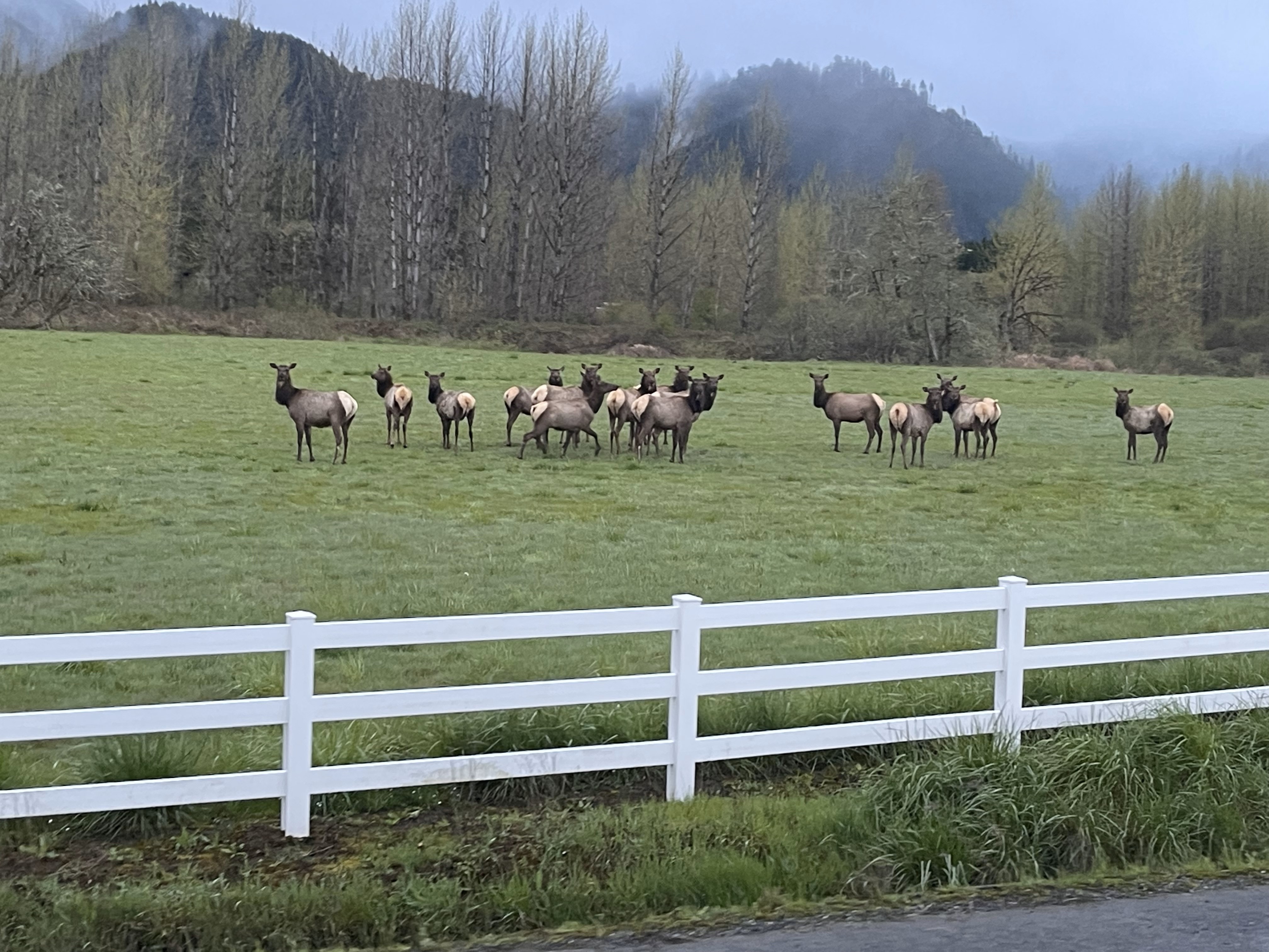 Kielblock Ranch