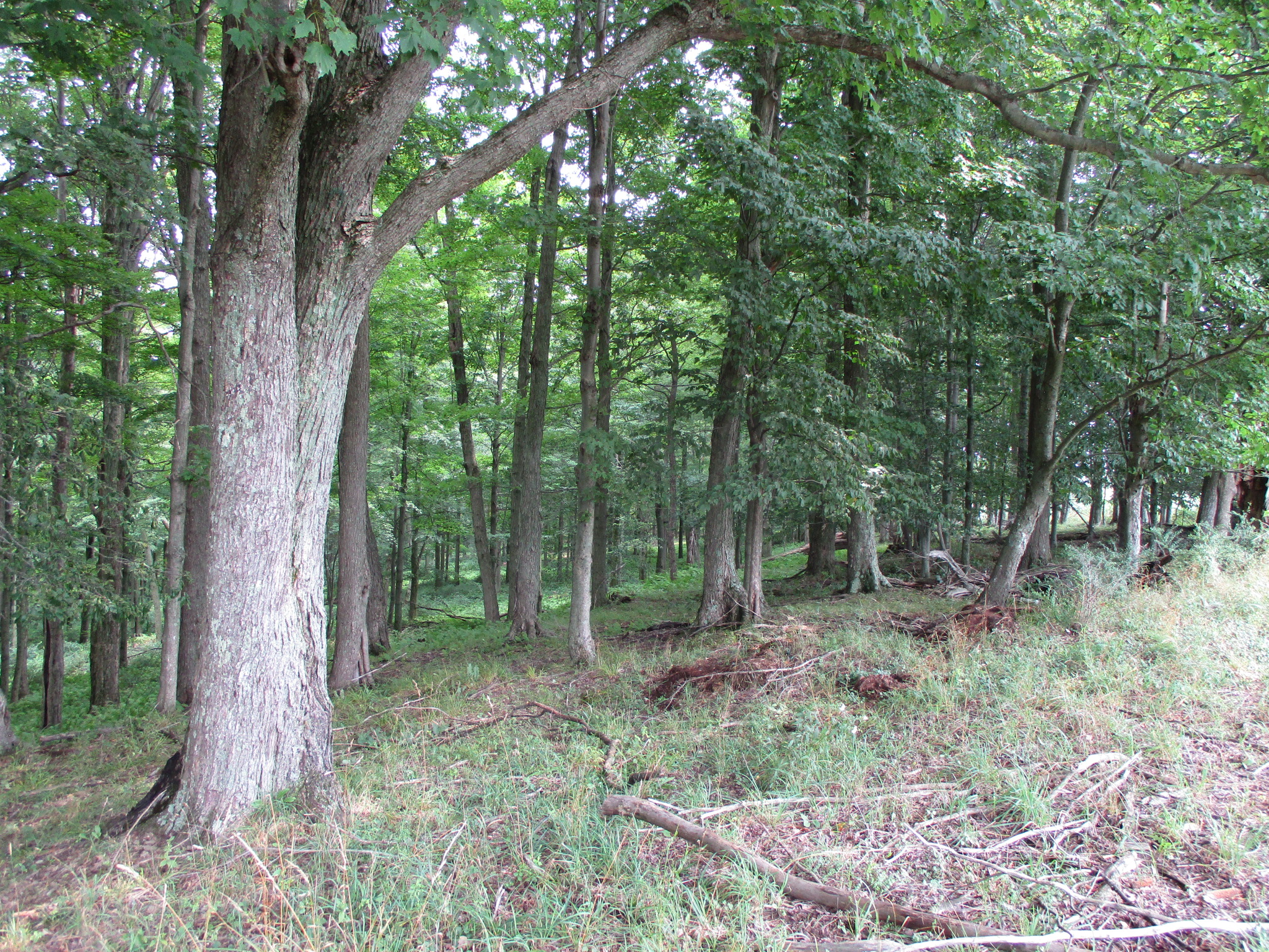 Listing Image 42
