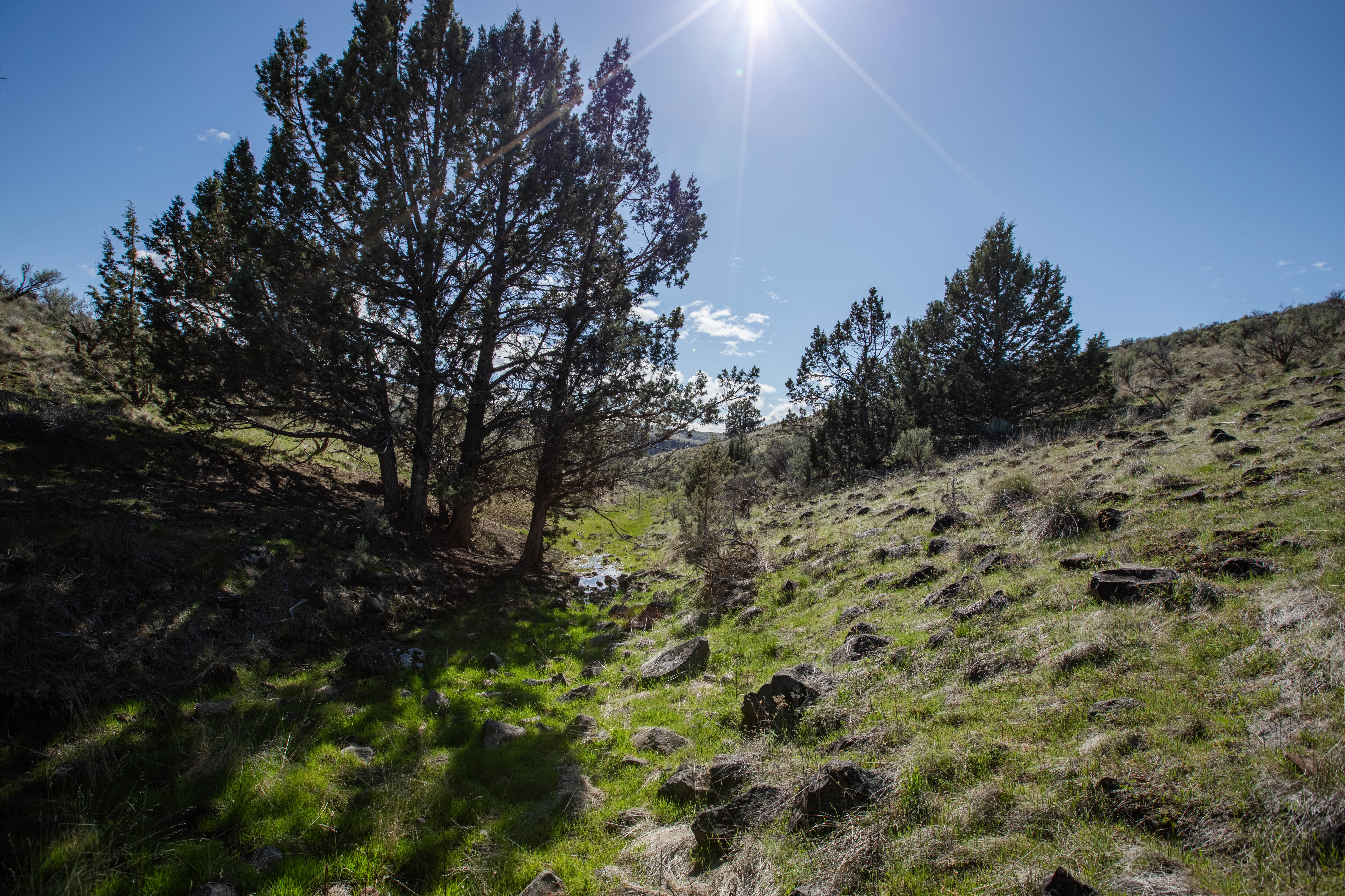 94072 Wilson Lane - Sherman County Farm for Sale