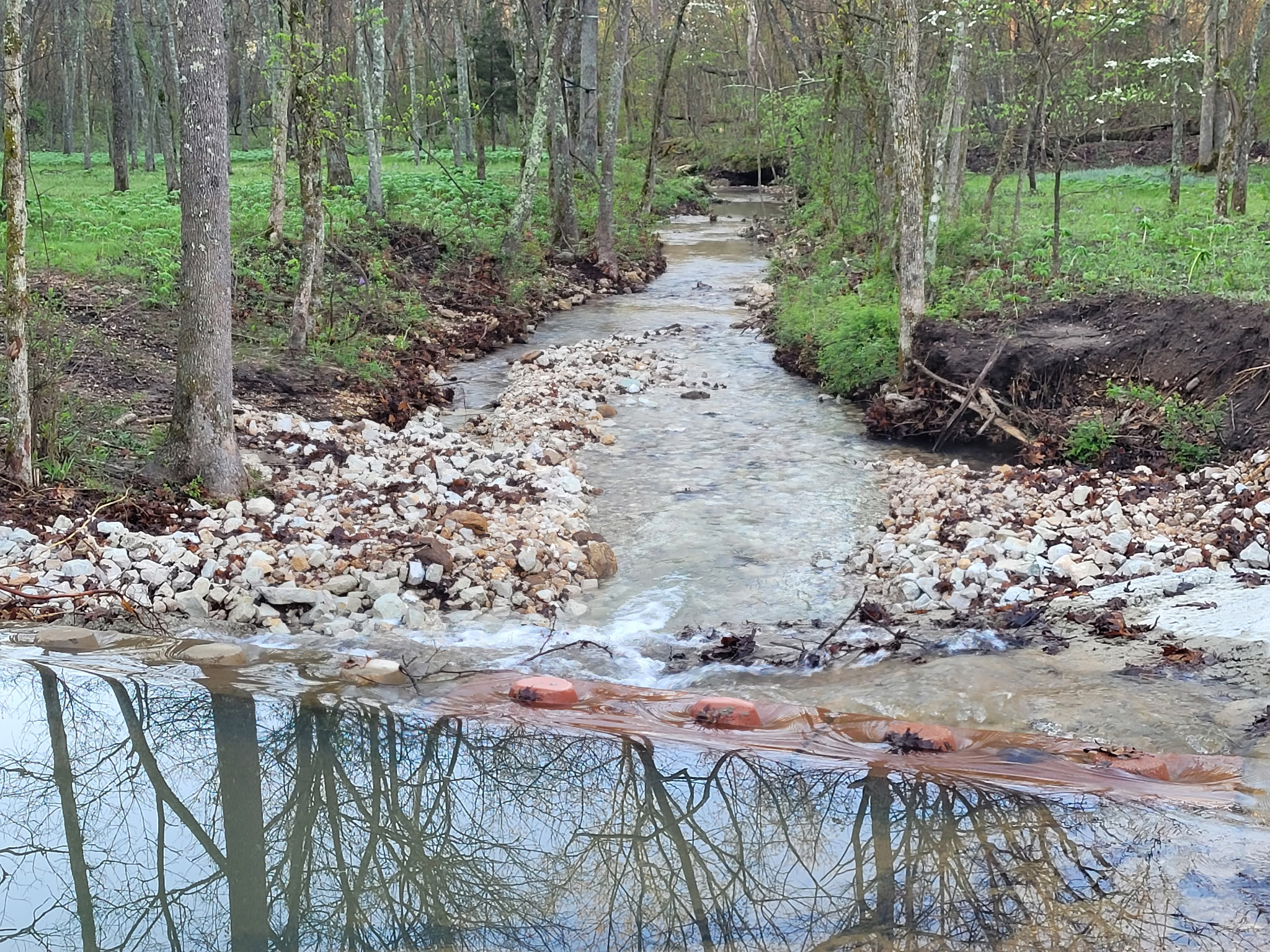 Curly Holt Camp at Peterball Spring