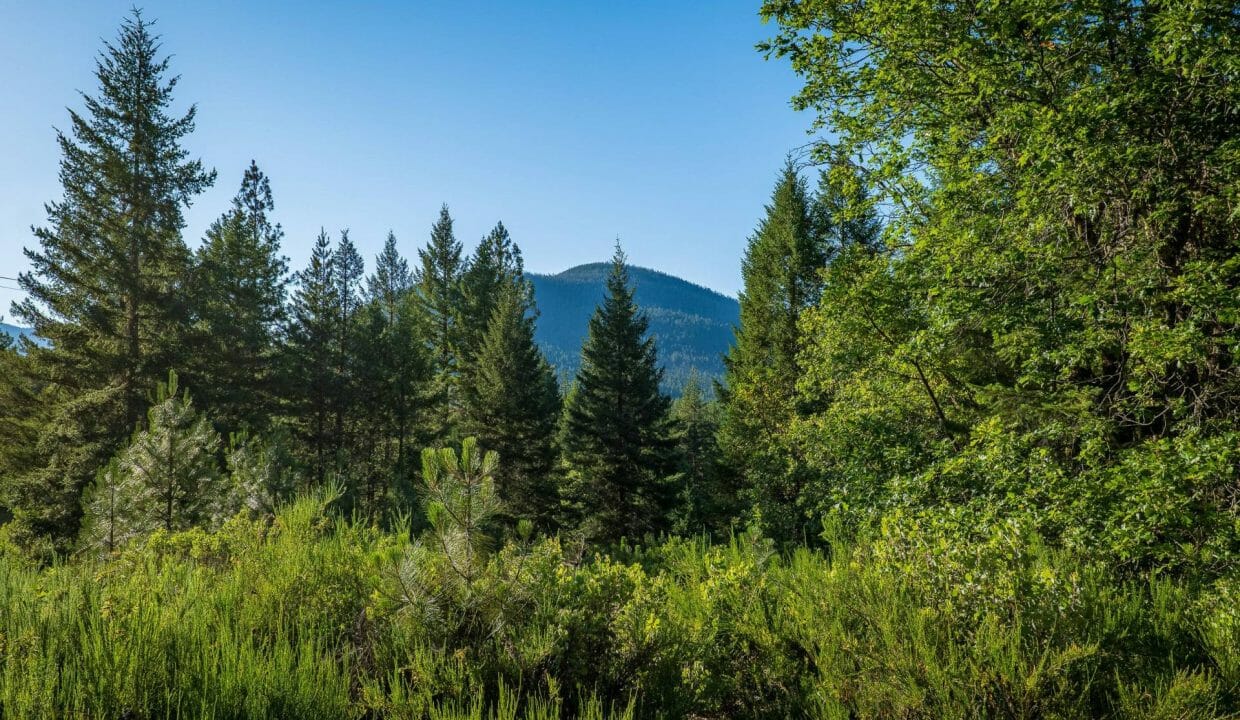 Sauer's Flat Farm & Ranch
