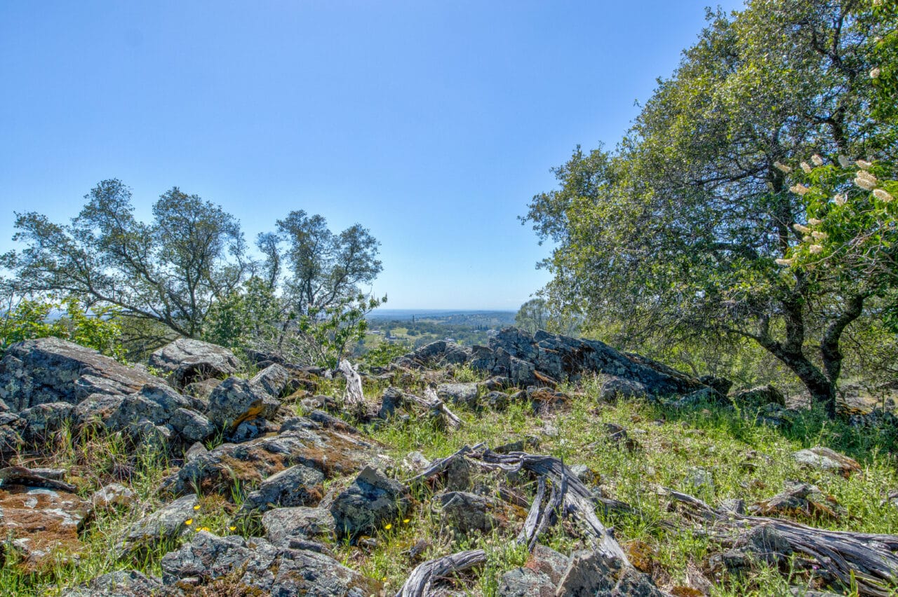 Listing Image 85