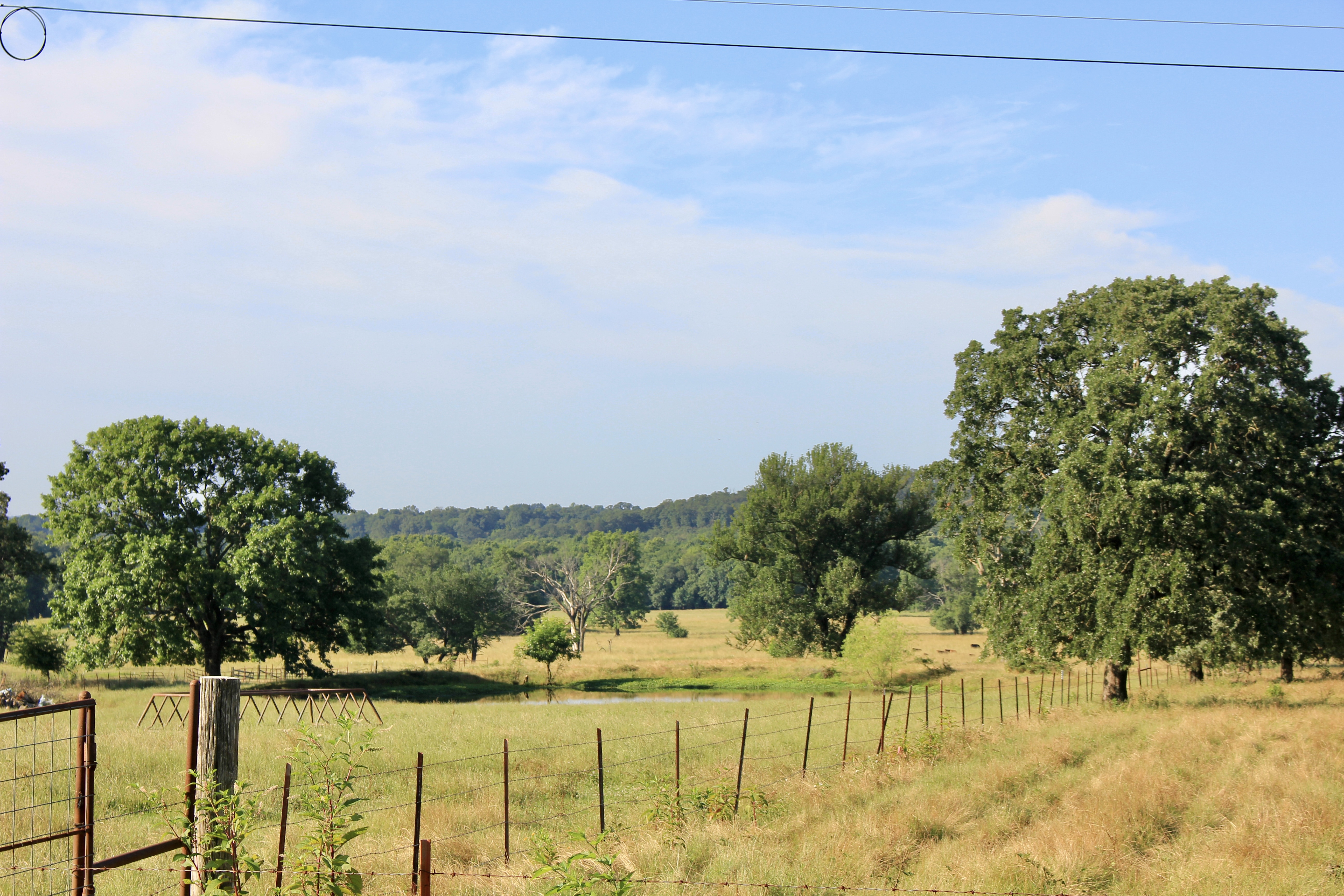 River Valley Rotational Grazing