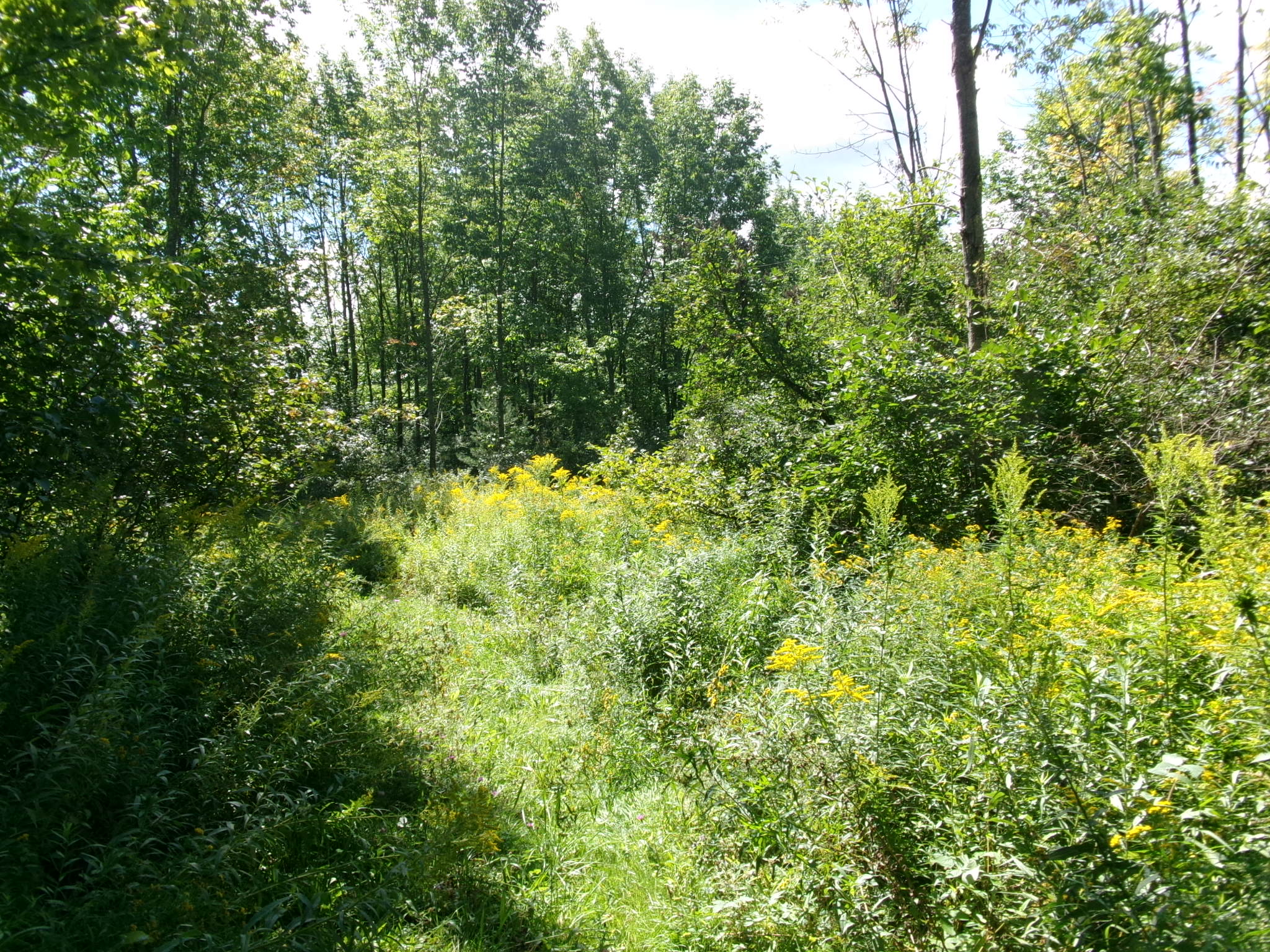 Listing Image 24