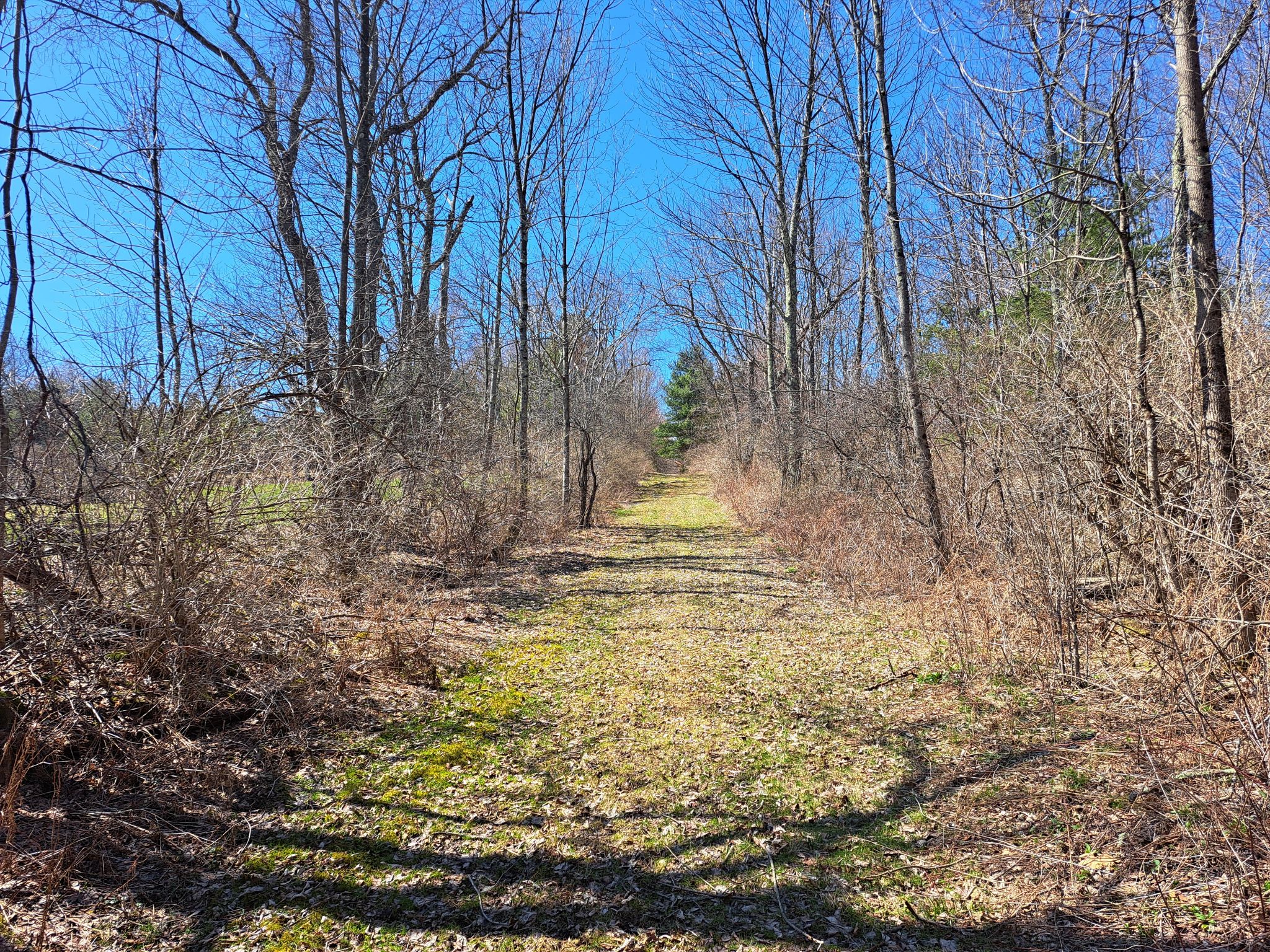 Listing Image 57