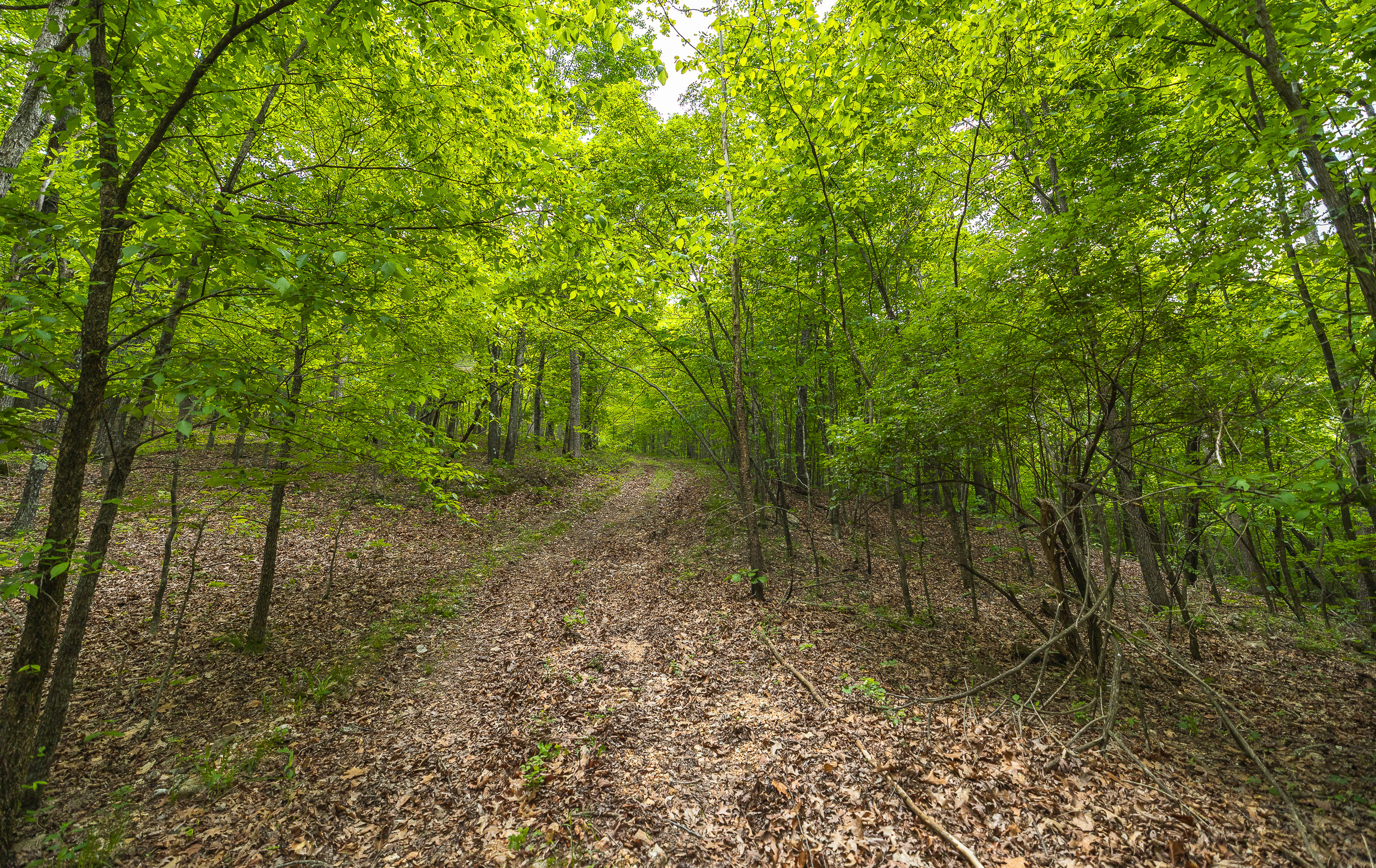 Waters Edge on the Gasconade River Tract 1