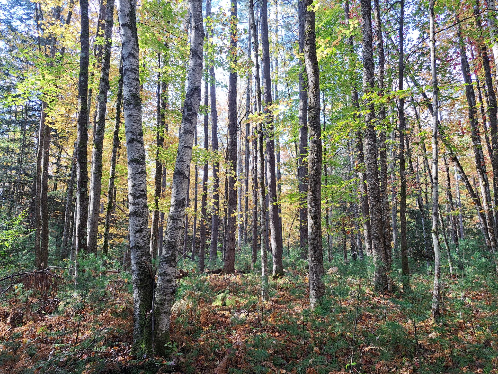 Listing Image 23