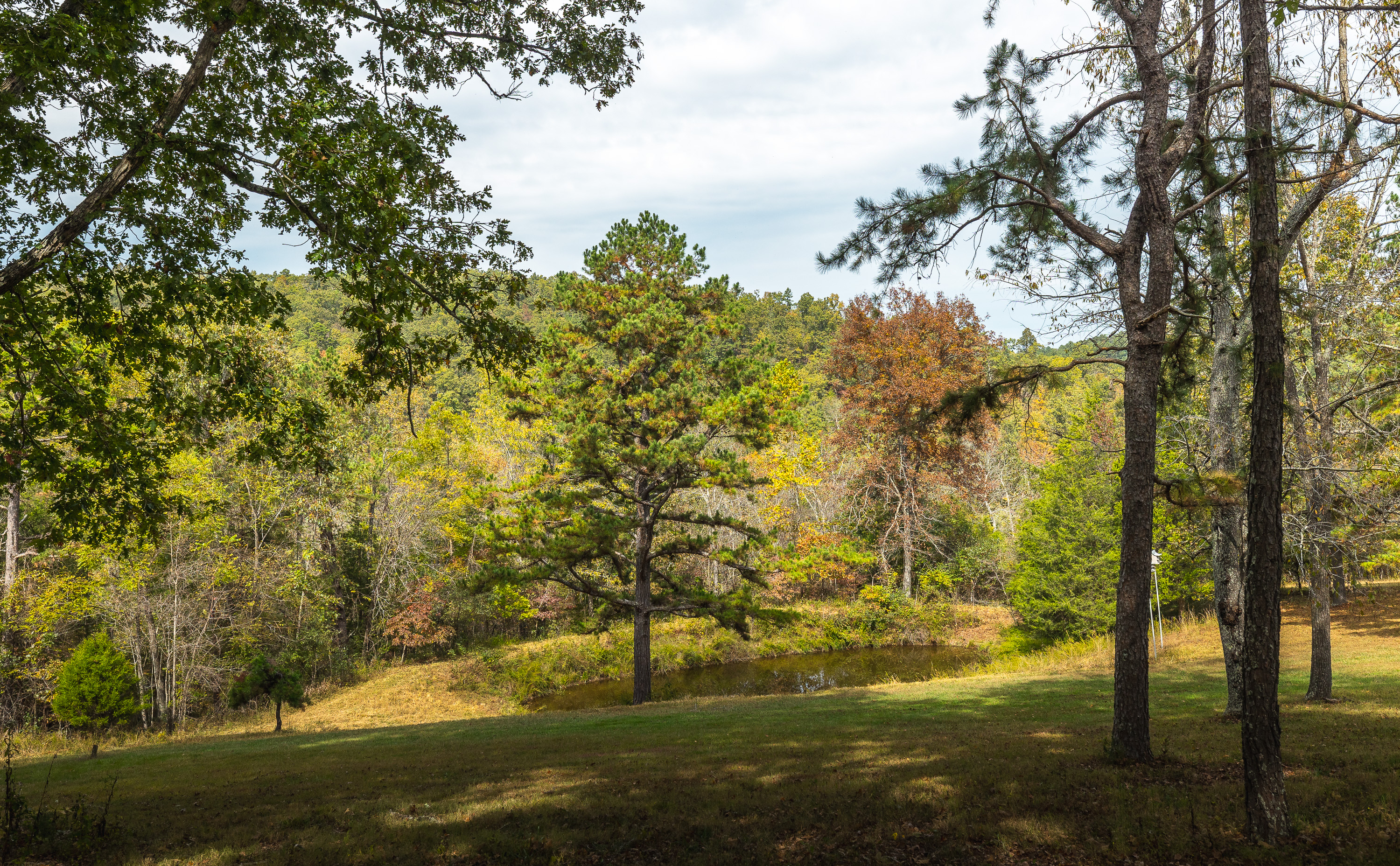 Little Gladden Creek Hunter
