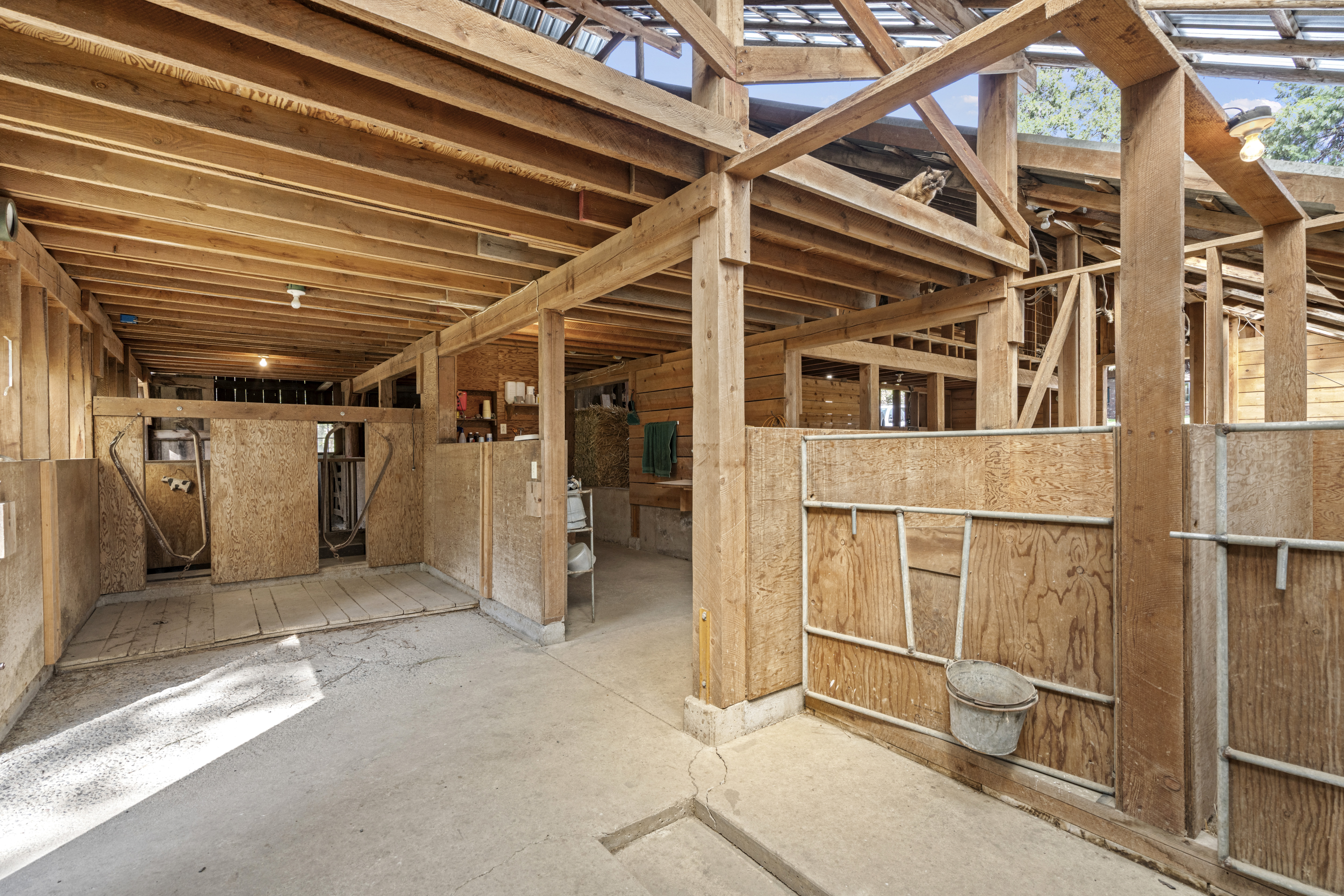 Meyer Ranch - 12310 Ramsey Road