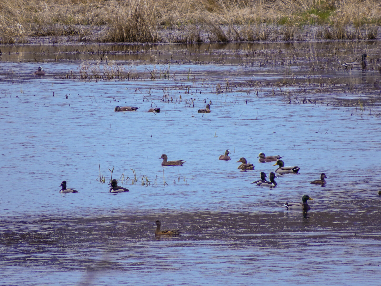 The Farm at Tide Creek