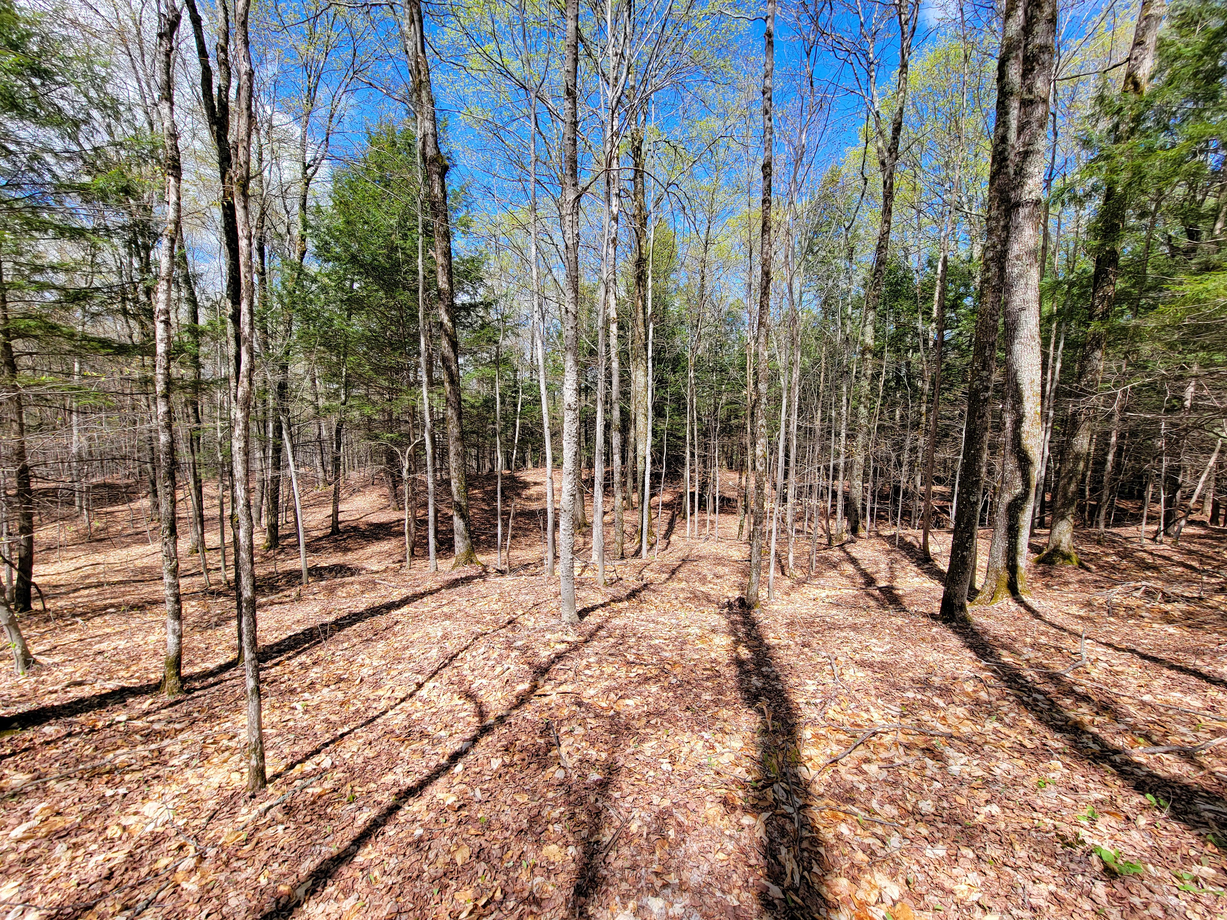 Listing Image 40