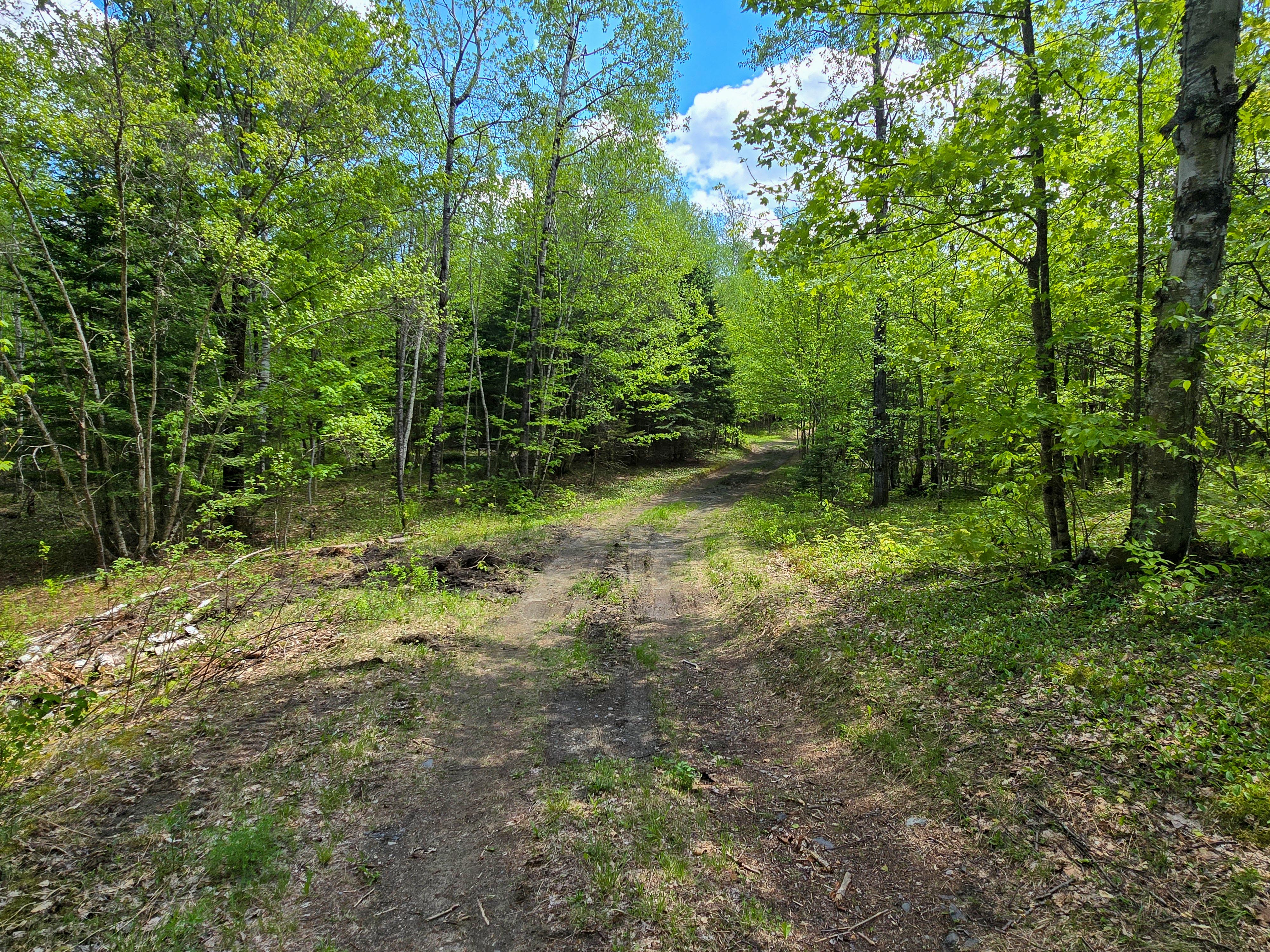 Listing Image 40