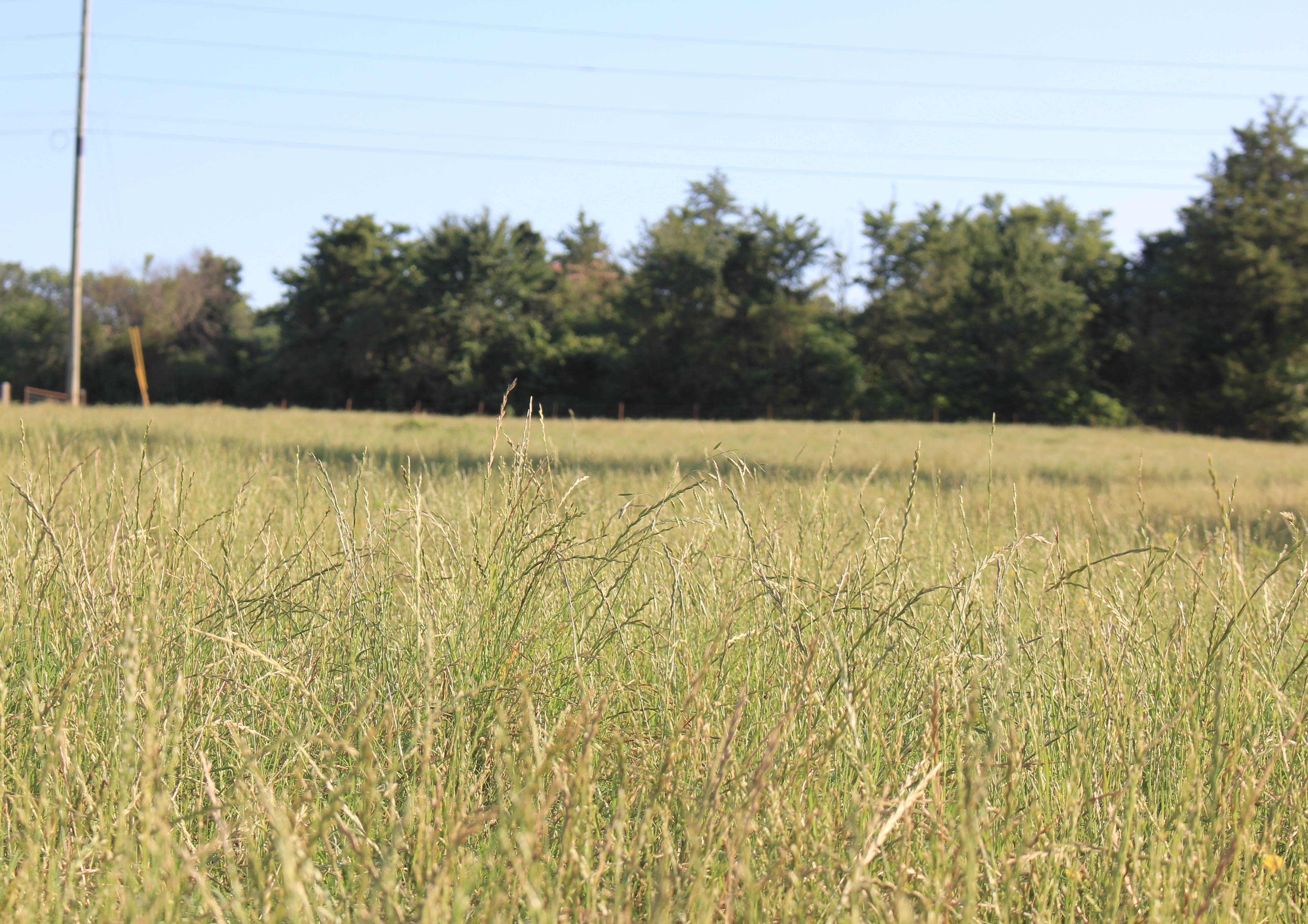 River Valley Rotational Grazing