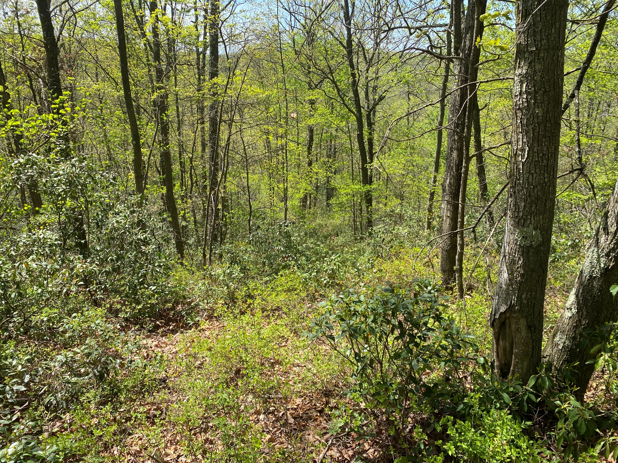 Listing Image 23