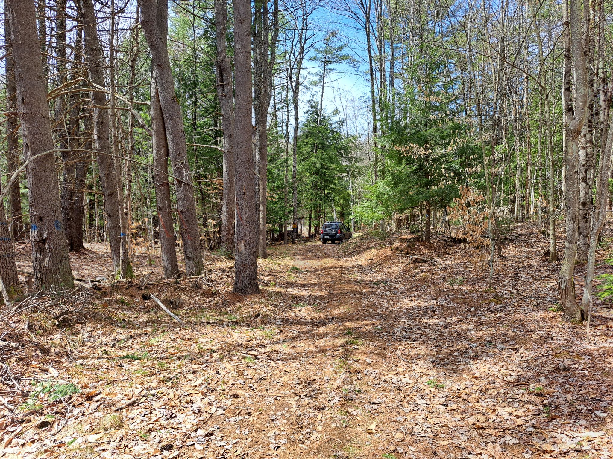 Listing Image 22