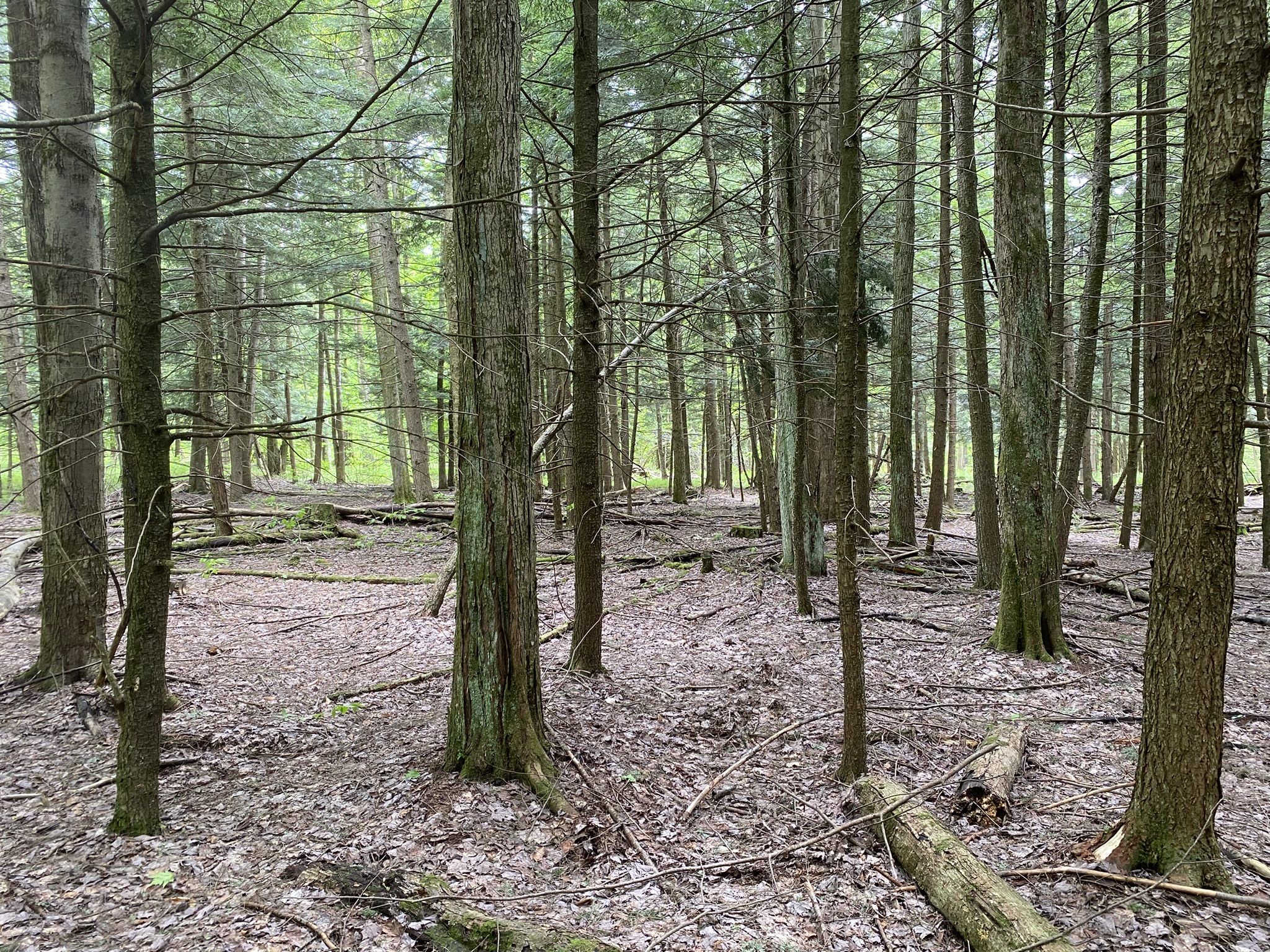 Listing Image 27
