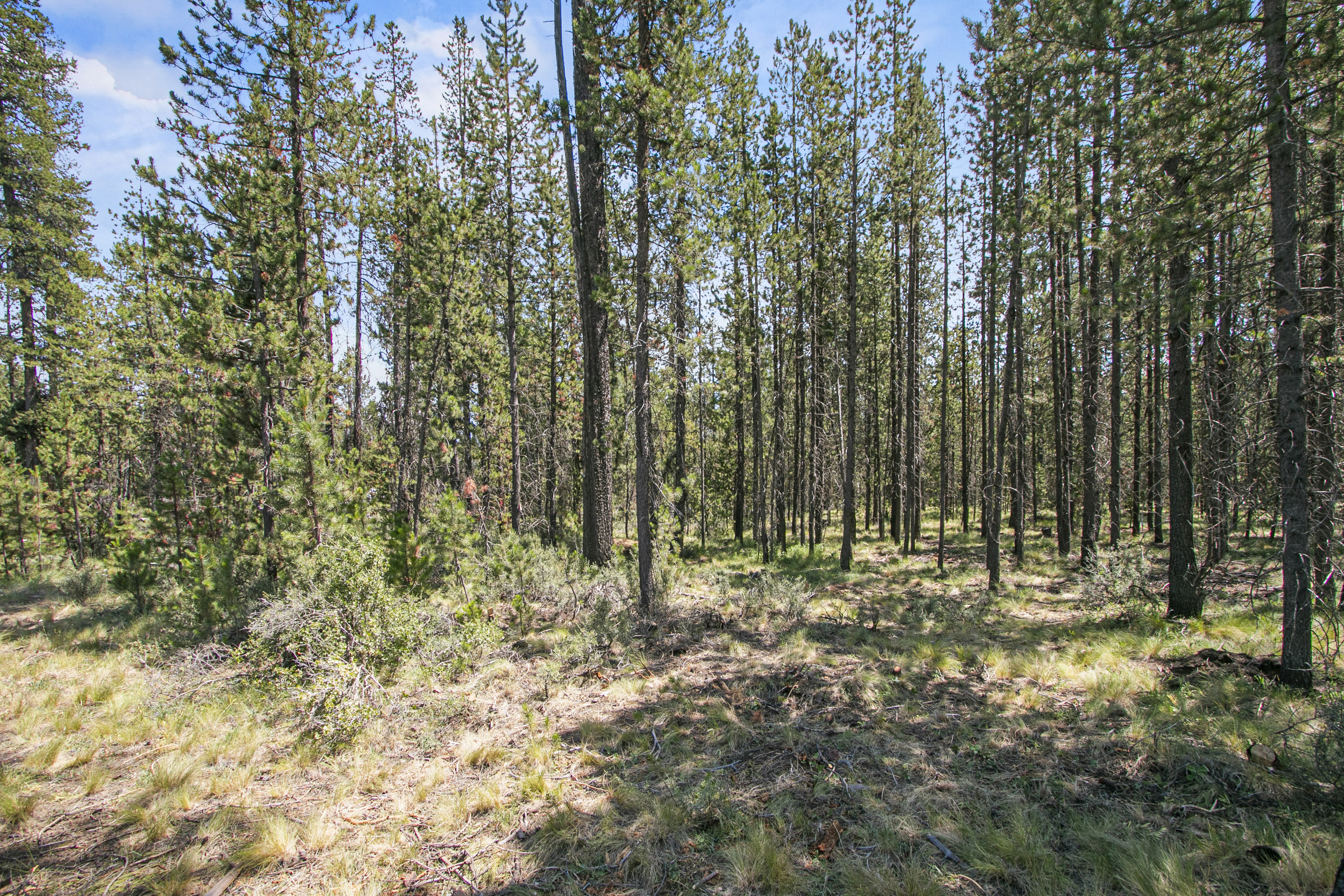 16927 Upland Rd – A Recreational Canvas in the Heart of Central Oregon