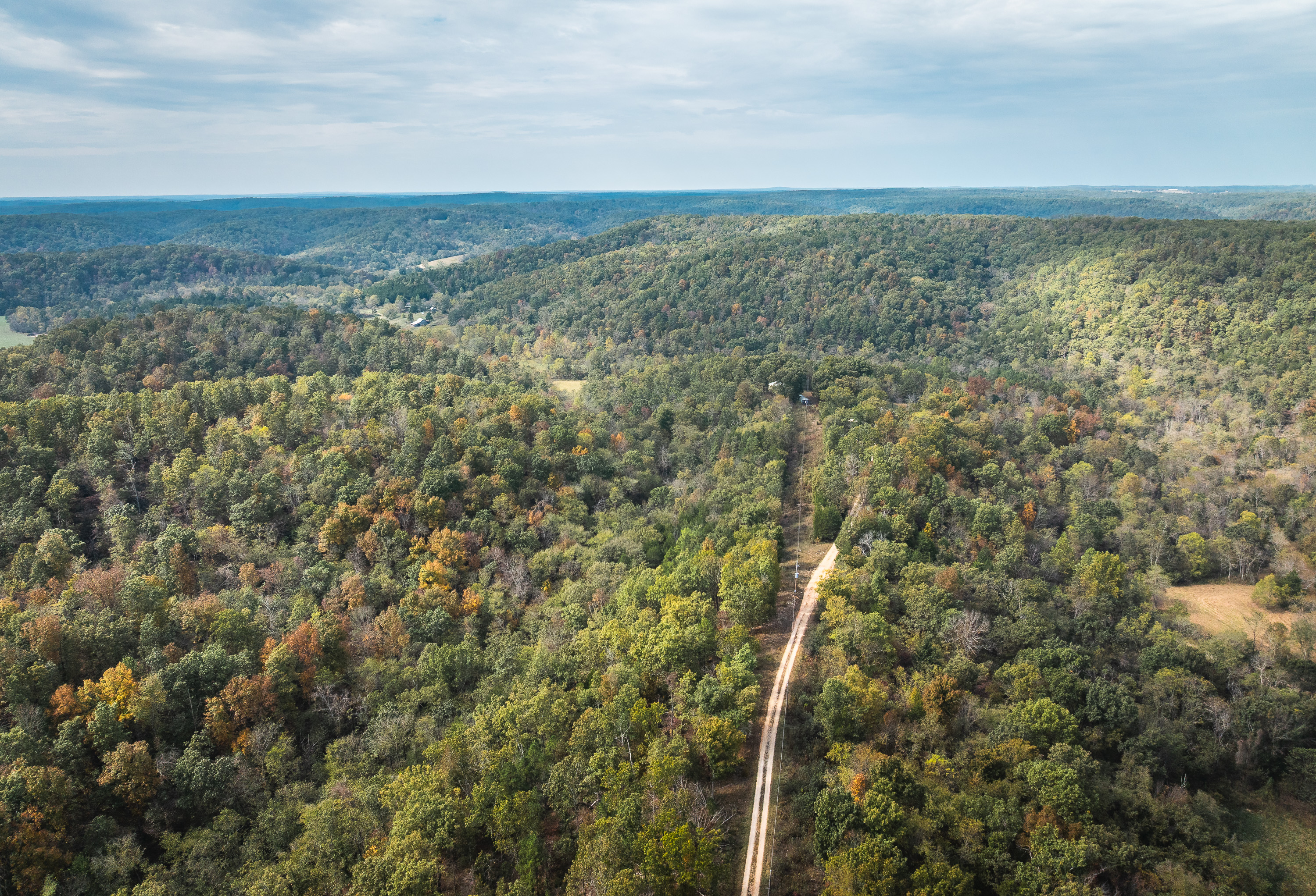 Little Gladden Creek Hunter