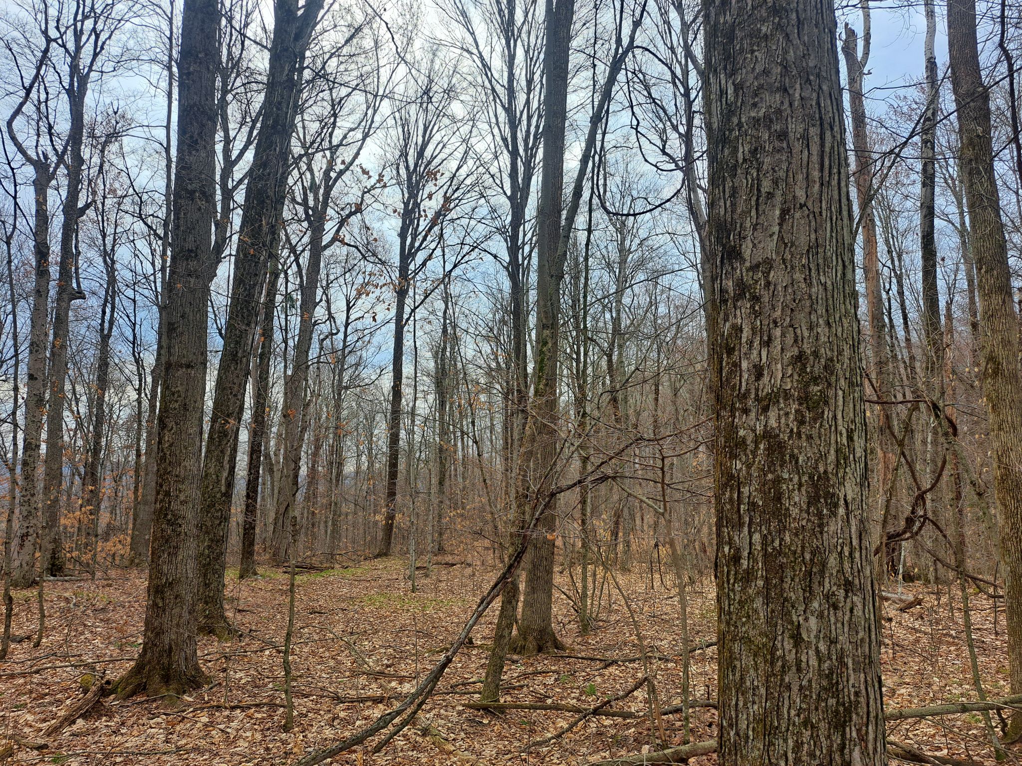 Listing Image 48