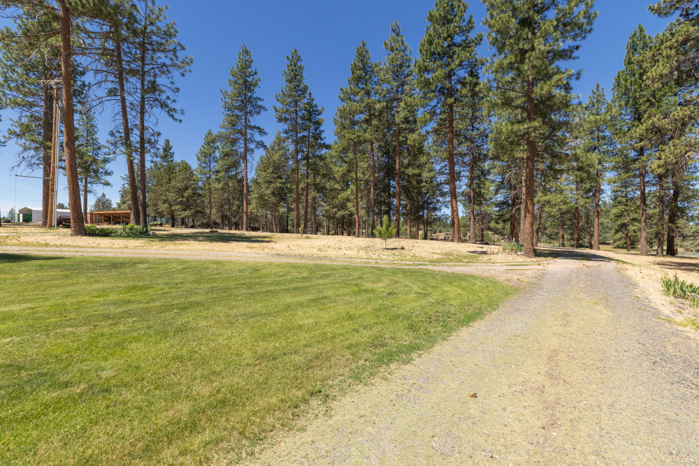 Listing Image 91