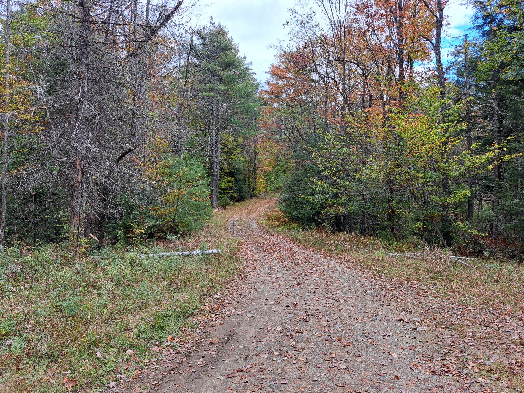 Hudson River Woods & Water