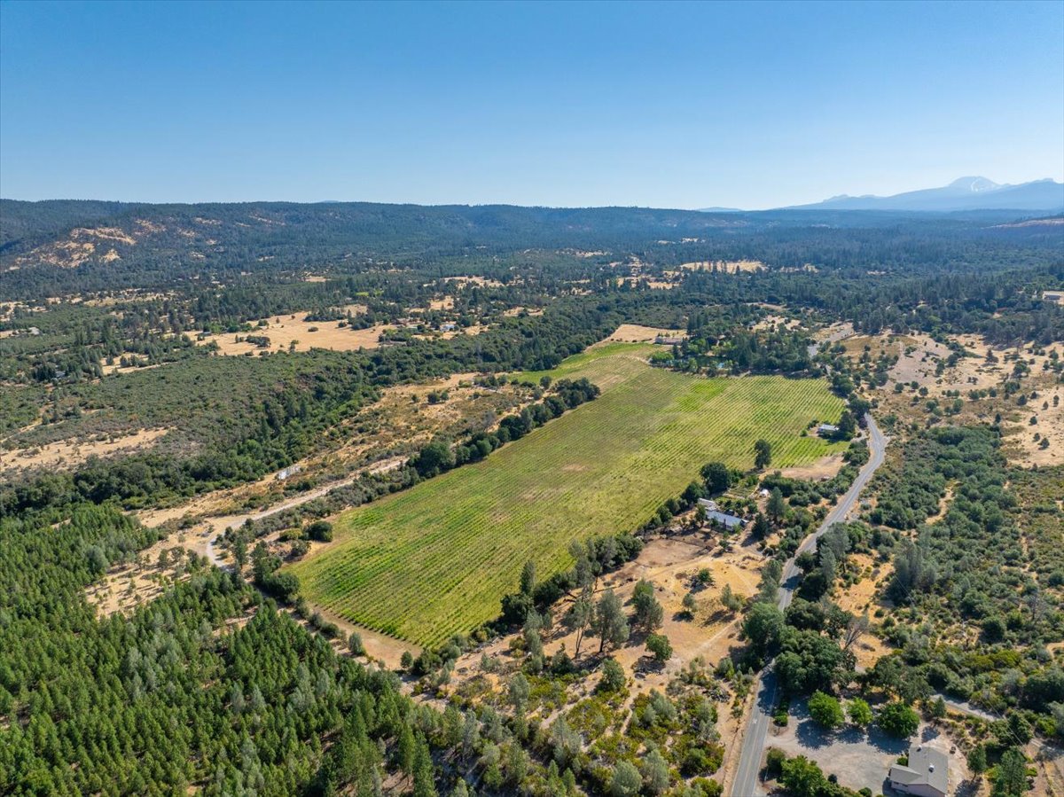 Alger Vineyards and More