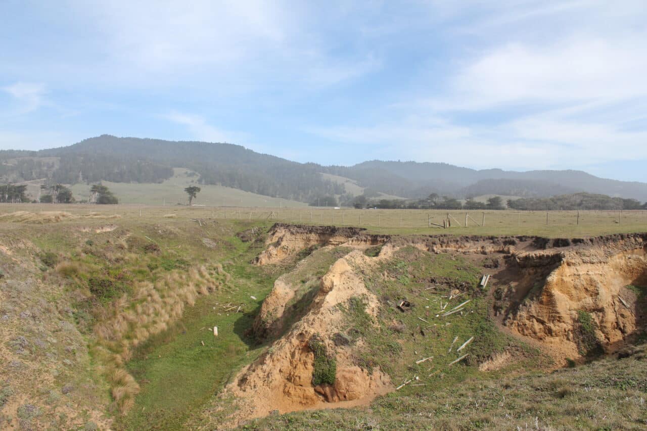Listing Image 24