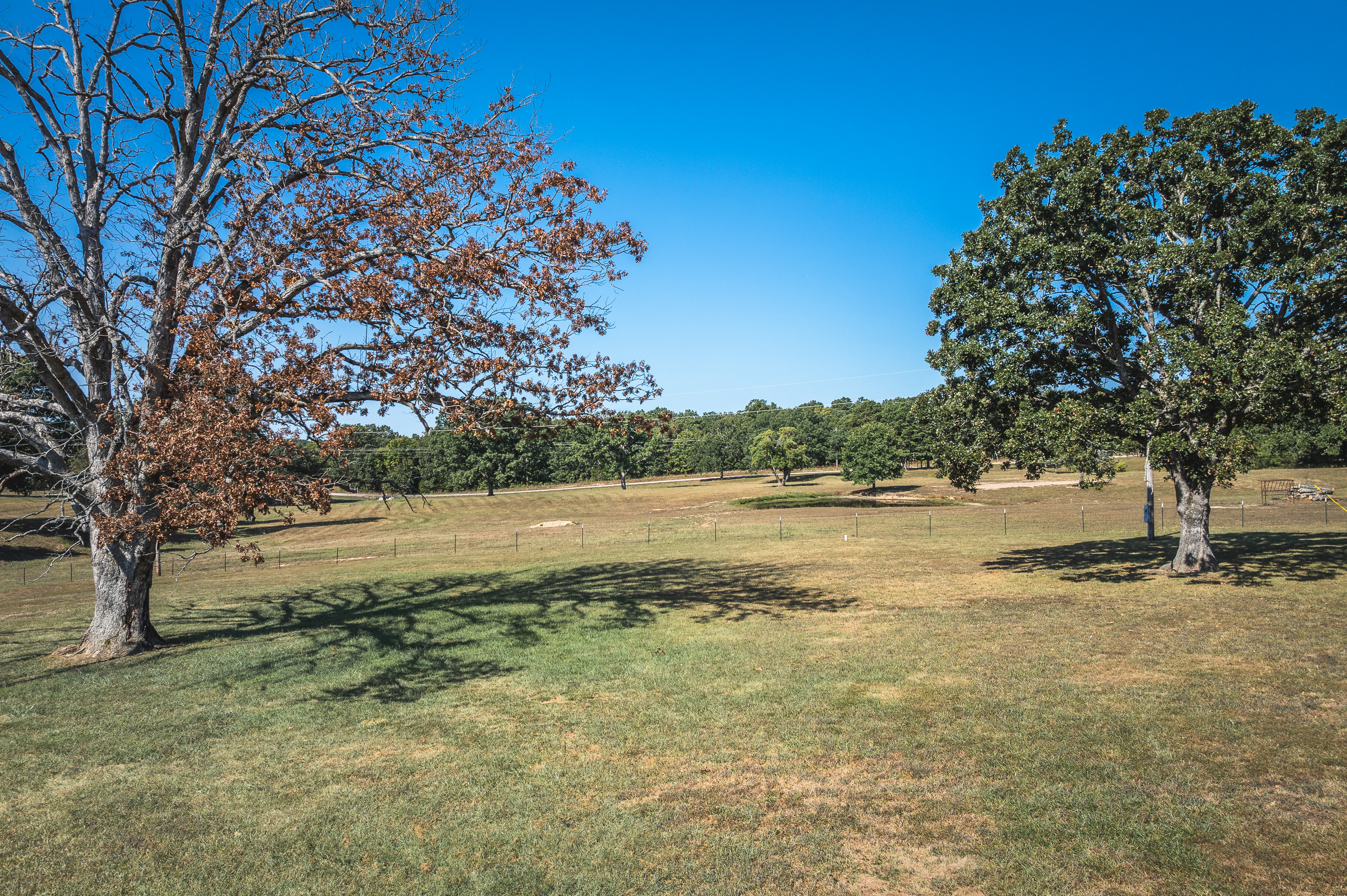 Listing Image 53