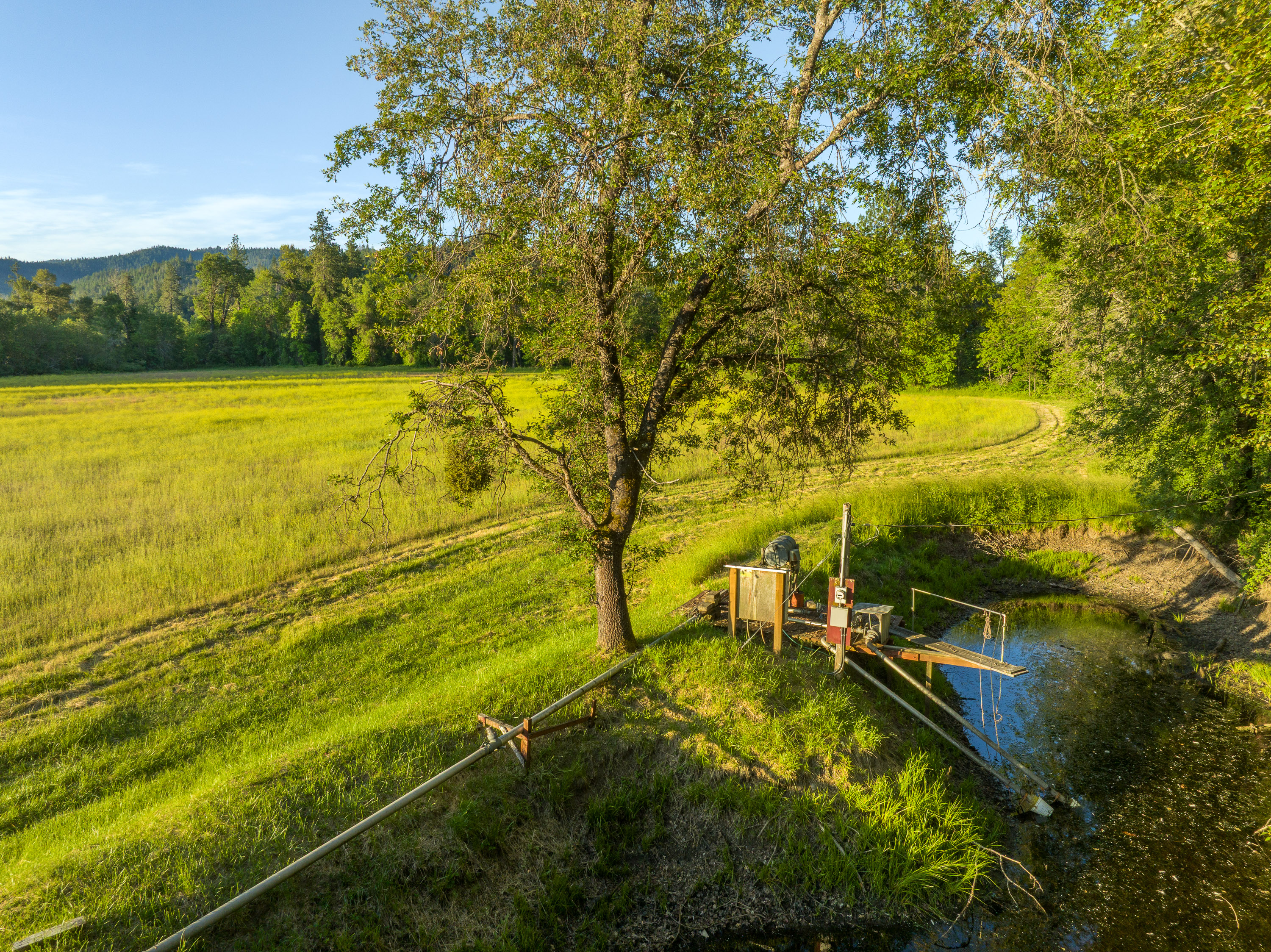 701 Messinger Road - Benton Family Ranch - 112 Acres along Williams Creek