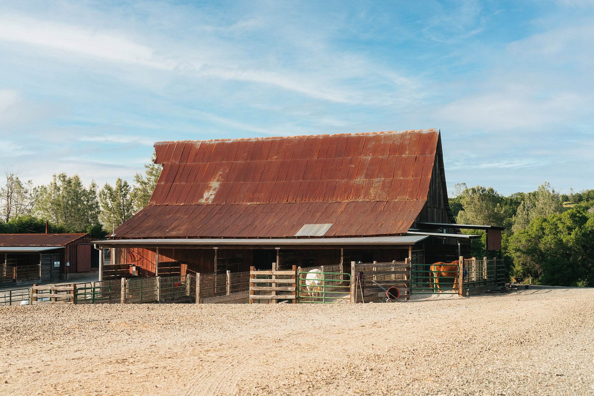 Listing Image 8