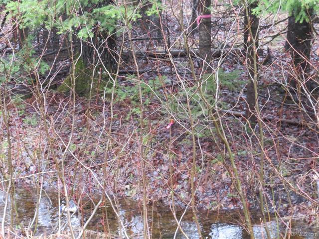 80 Acre Woodland Retreat 50173805