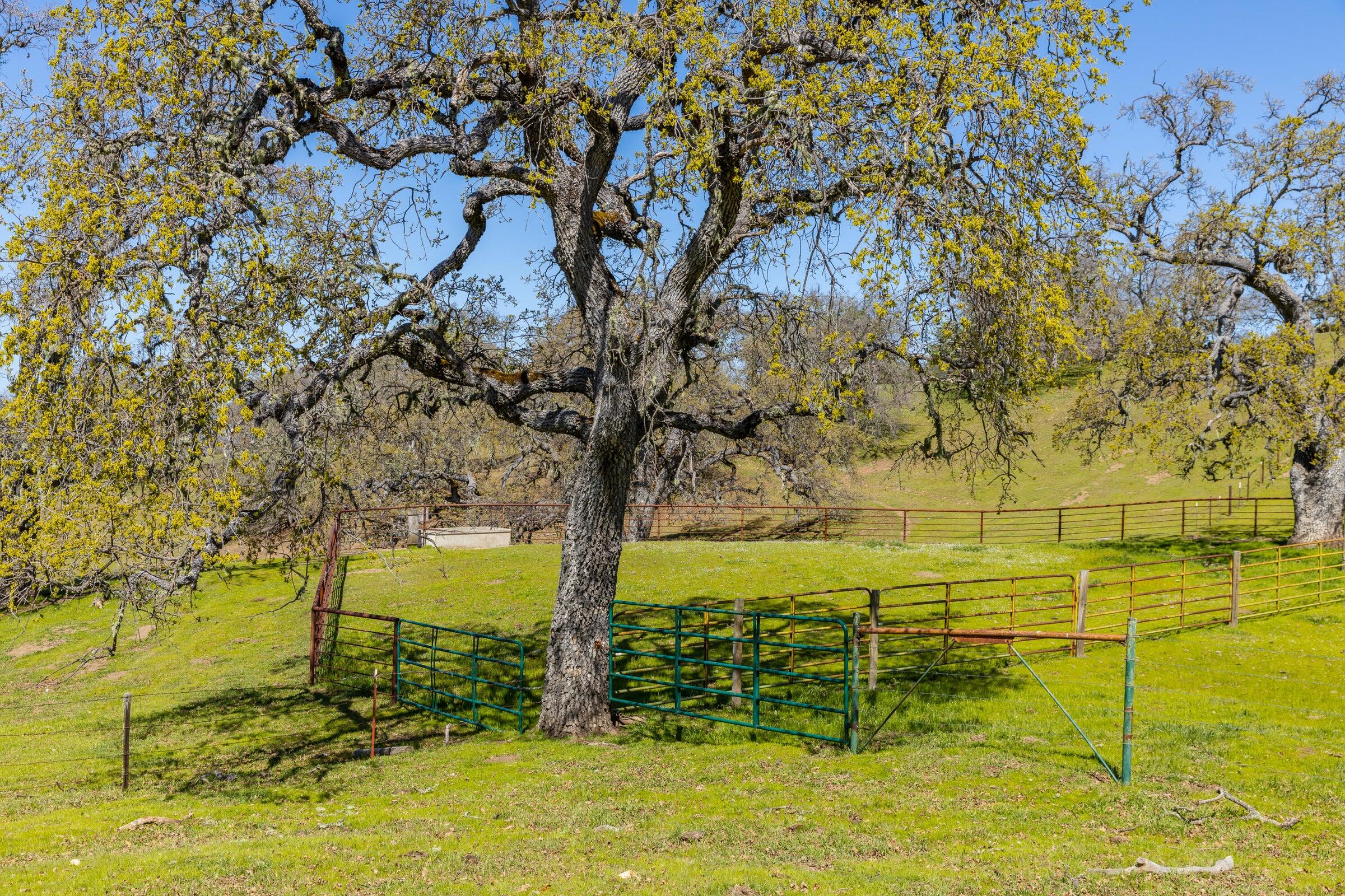 Palo Escrito Ranch