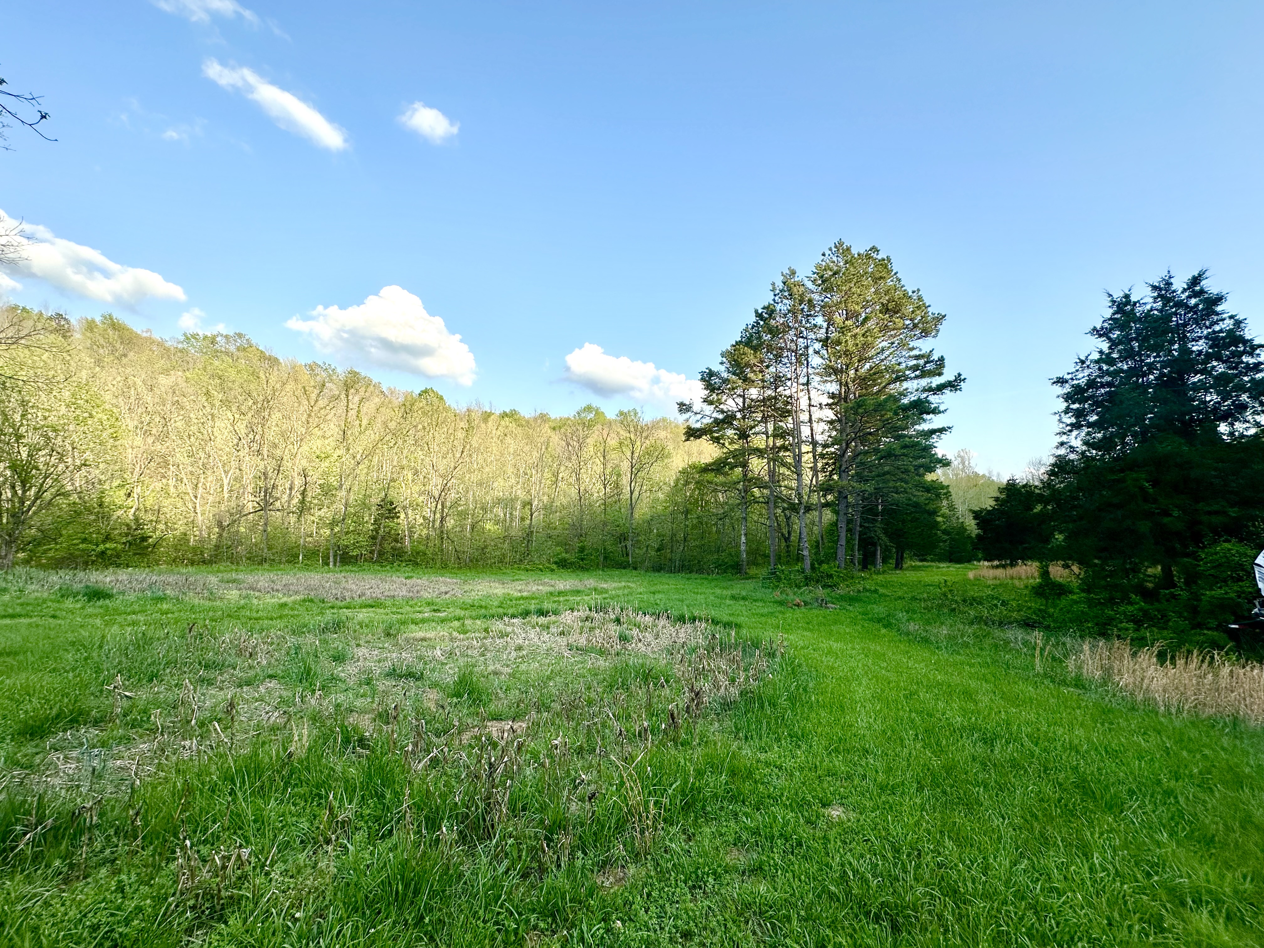 Wash Creek Retreat