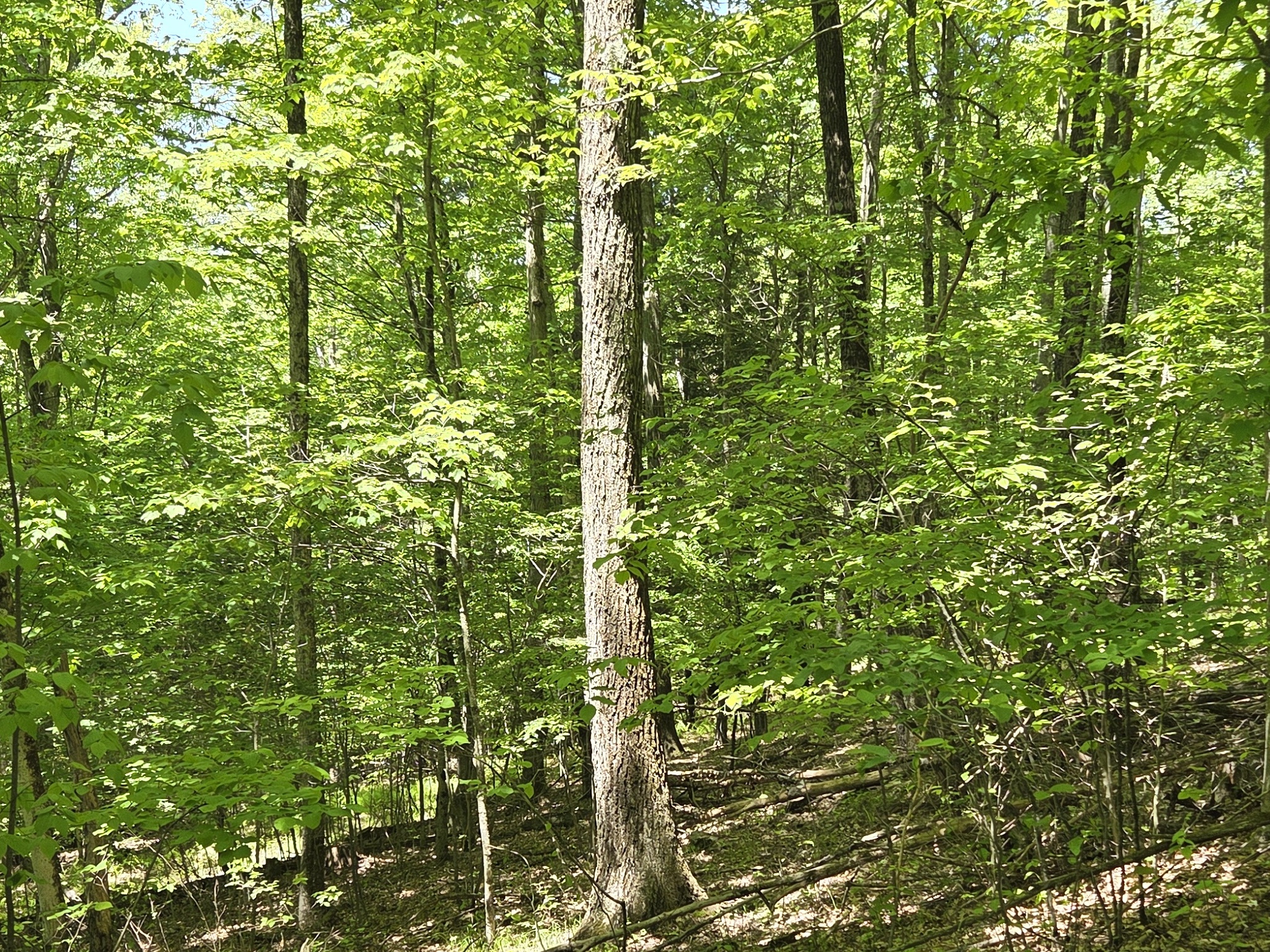 Listing Image 24