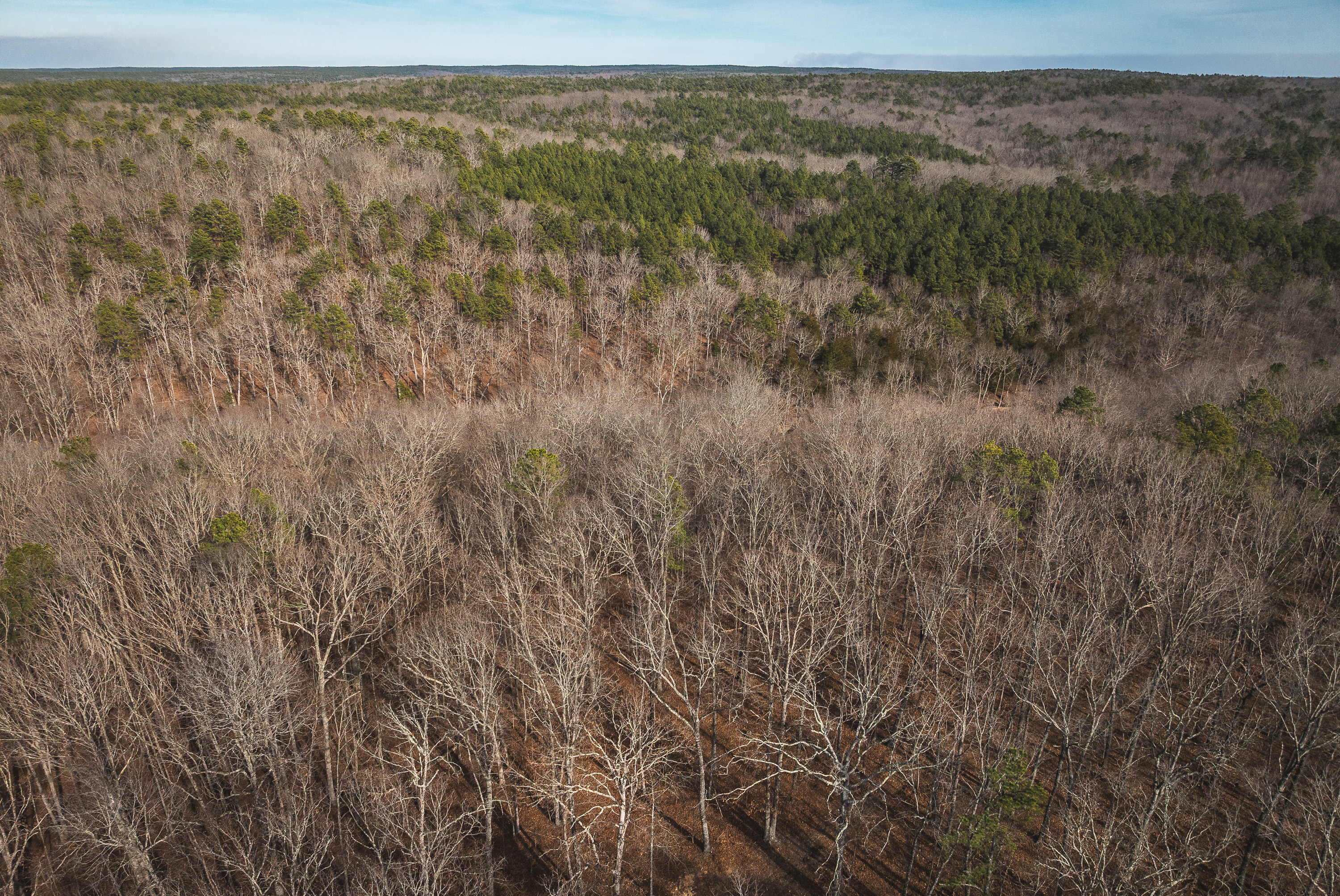 Curly Hole Camp at Peterball Spring