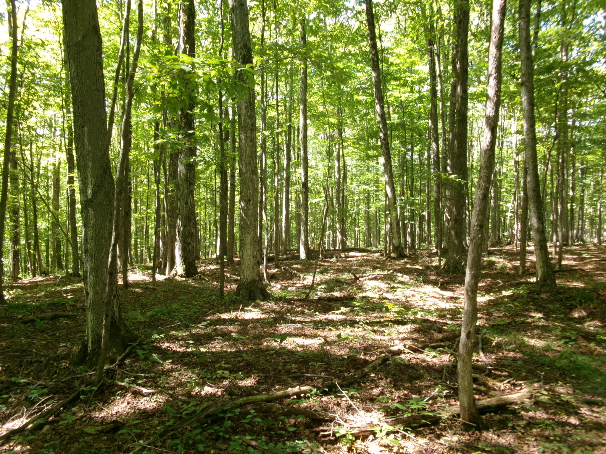 Listing Image 41