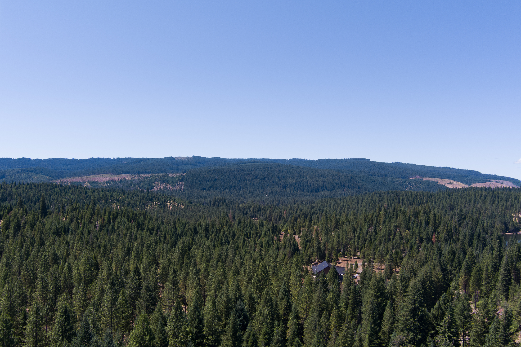 Medco Pond- Recreational Retreat