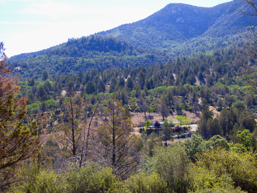 Blacktail Hills Retreat